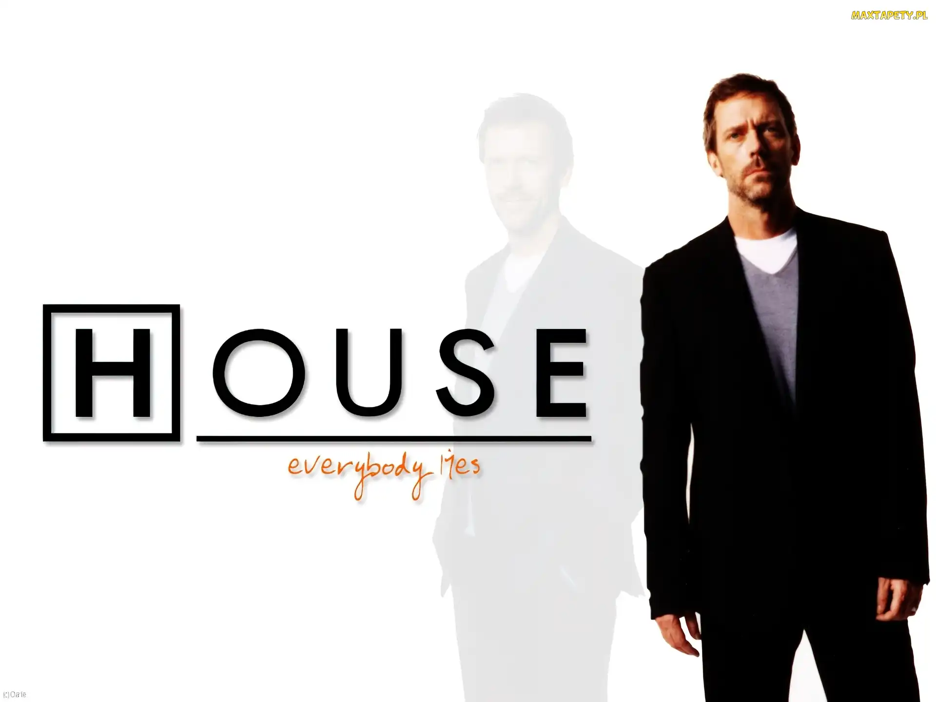 Dr. House, Hugh Laurie, Garnitur