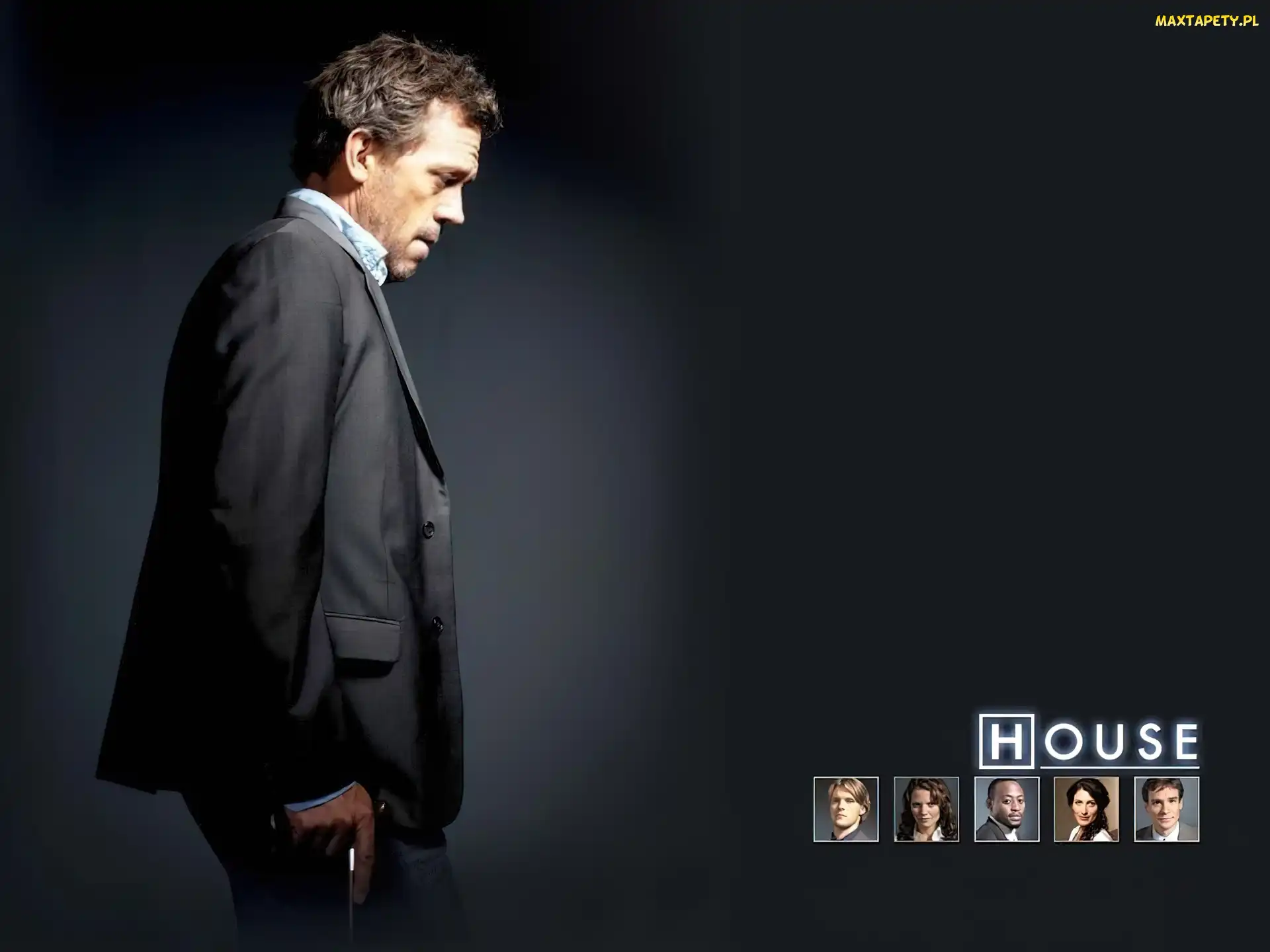 Dr. House, Hugh Lauriego