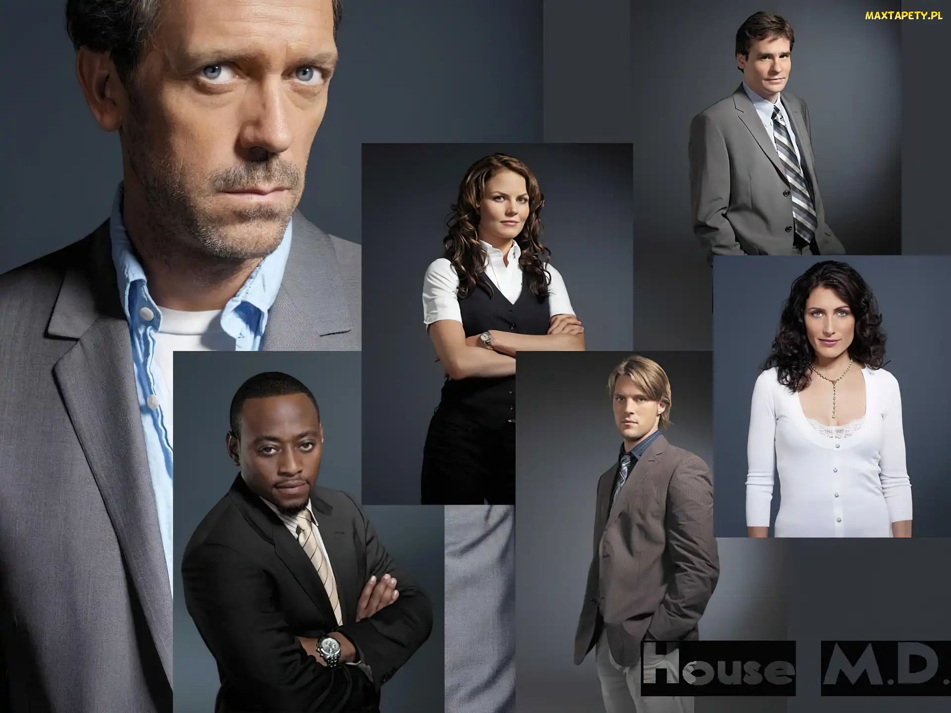 Aktorzy, Hugh Laurie, Dr. House