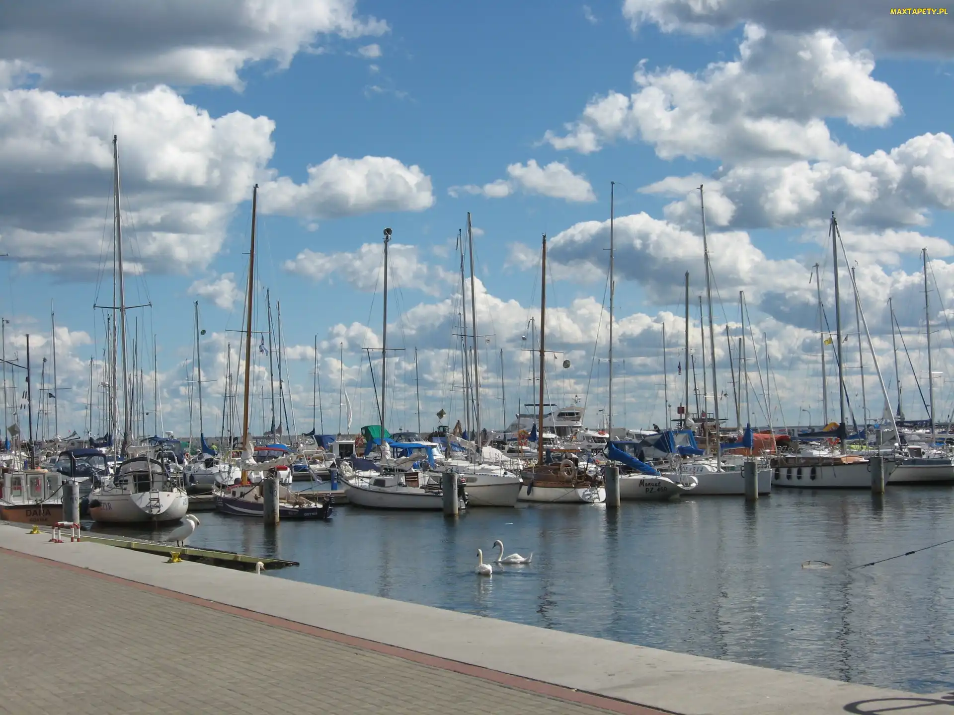 Gdynia, Jachty