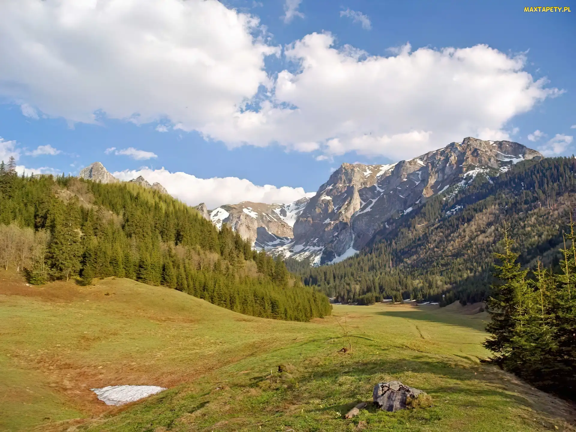 Góry, Łąka, Zakopane