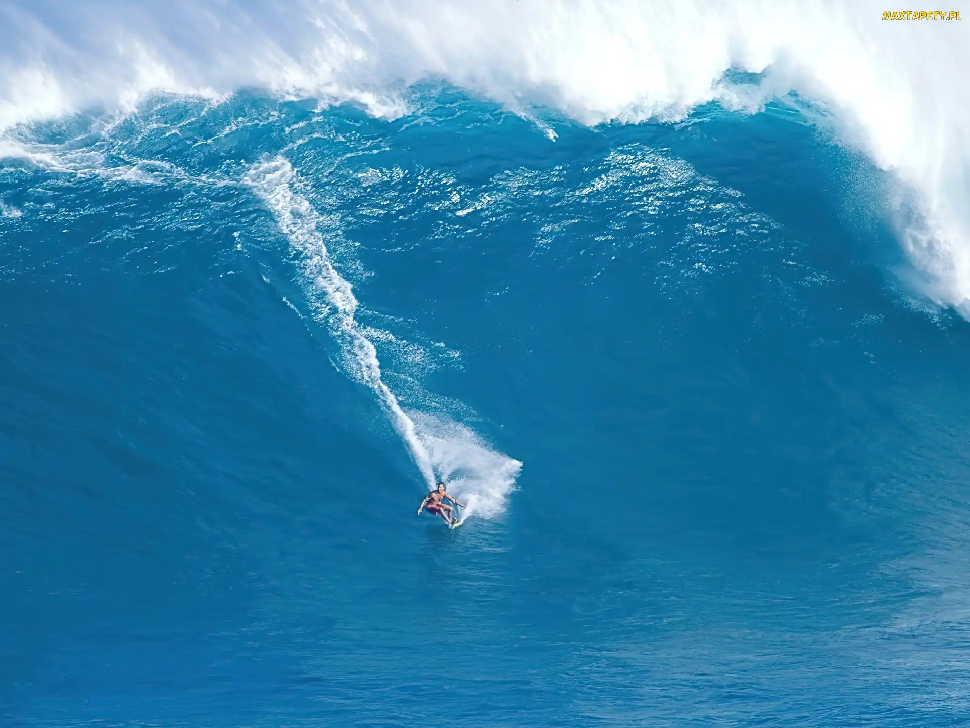 Surfing, Hawaje