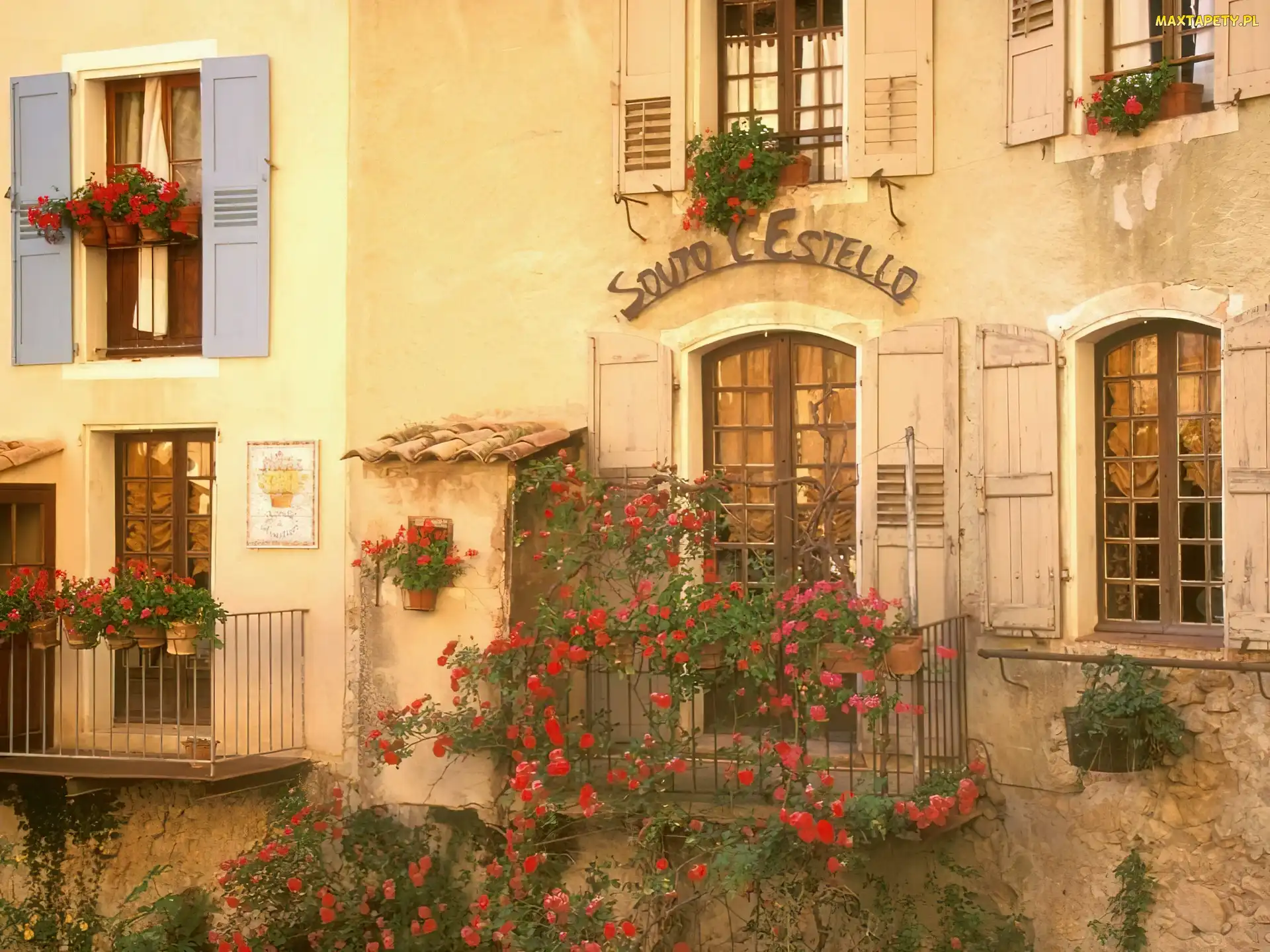 souto le Stello, Francja