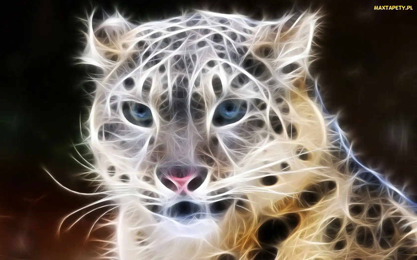 Lampart, 3D