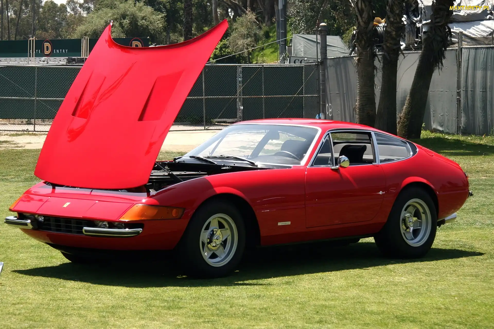 Otwarta, Maska, Ferrari Daytona