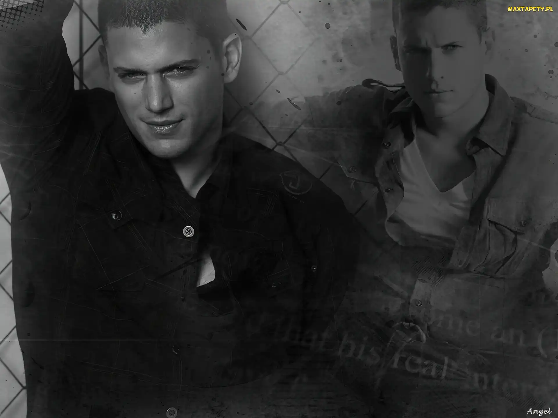 Prison, Break, Wentworth Miller