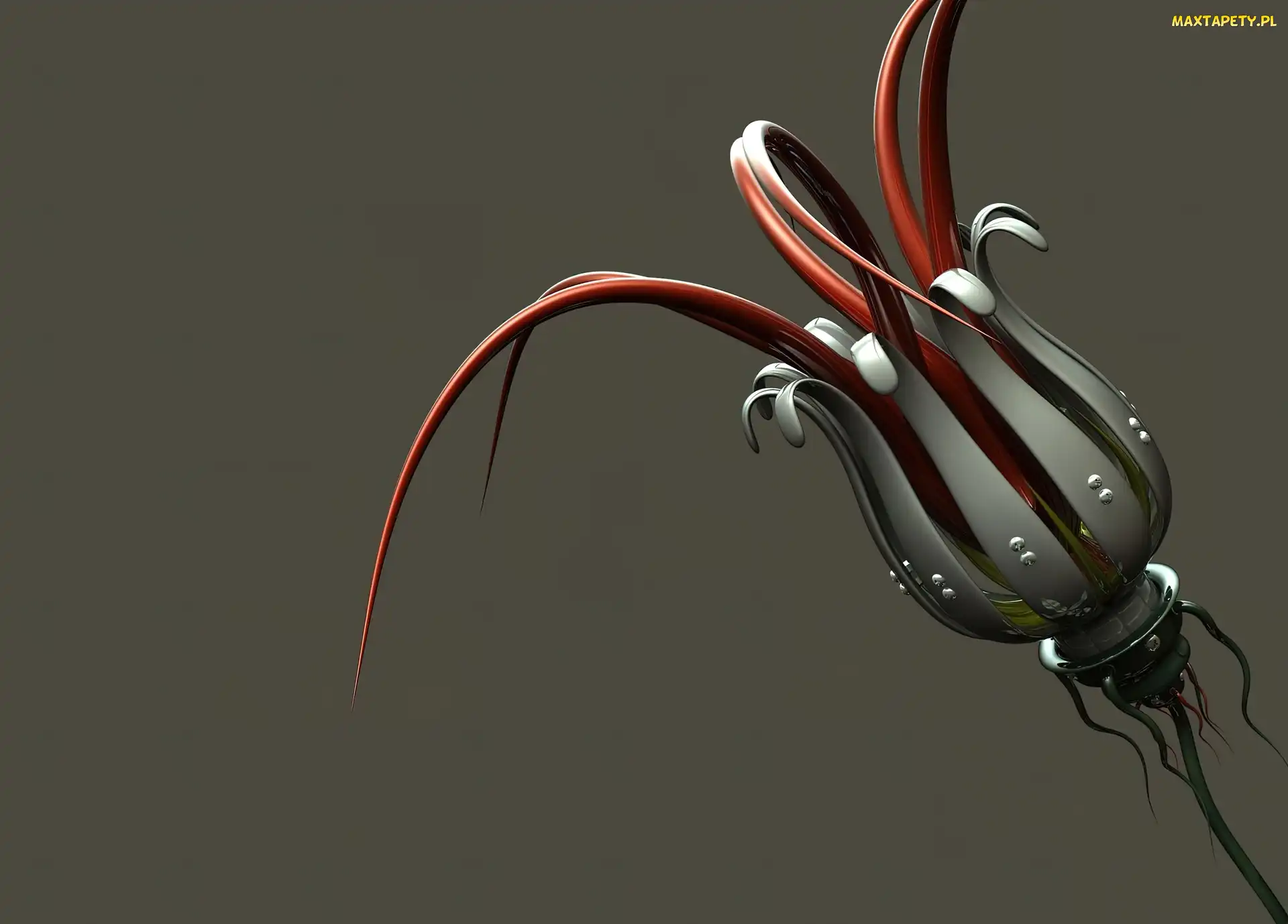 Kwiat, Cyber
