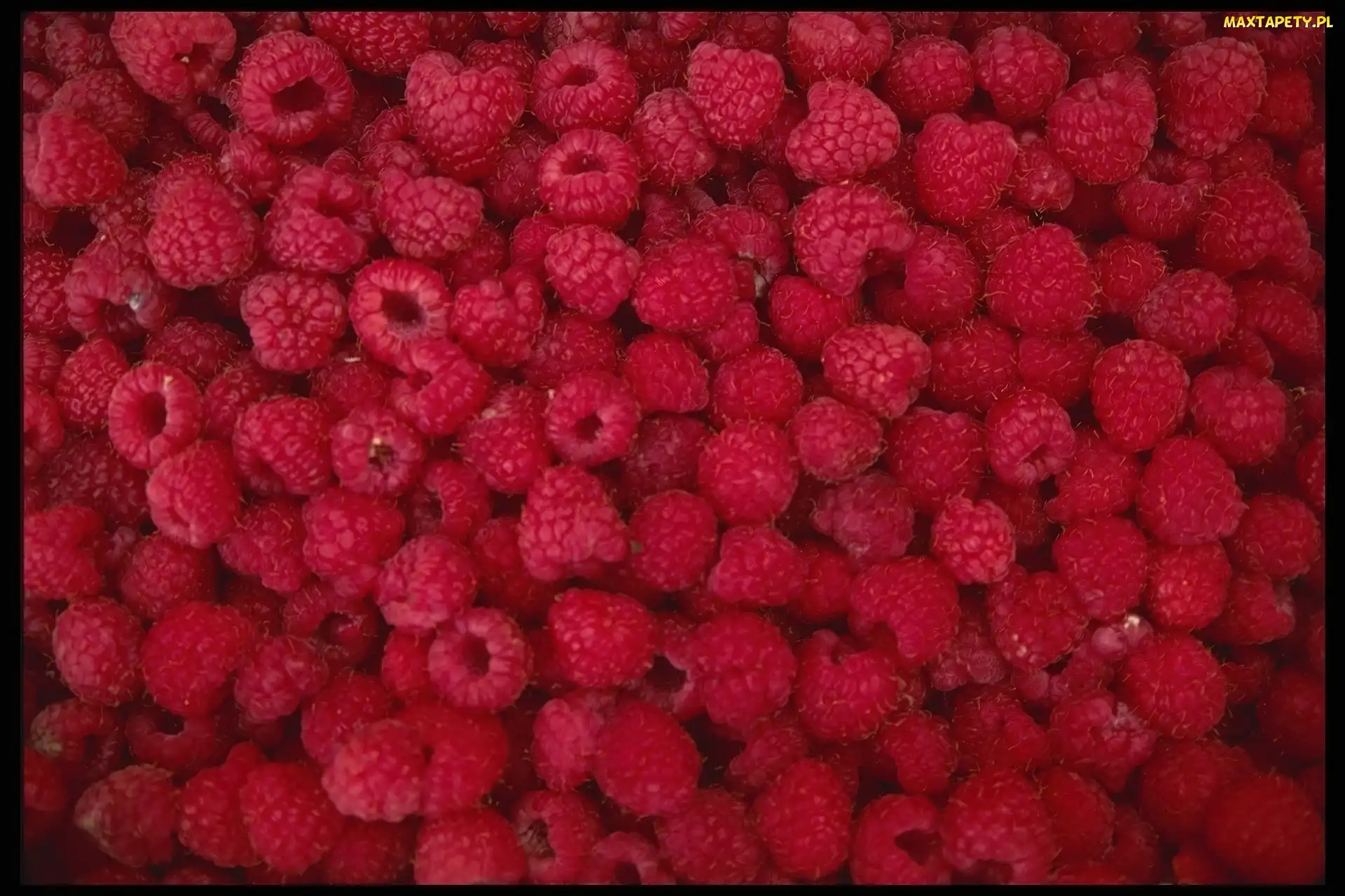 Maliny