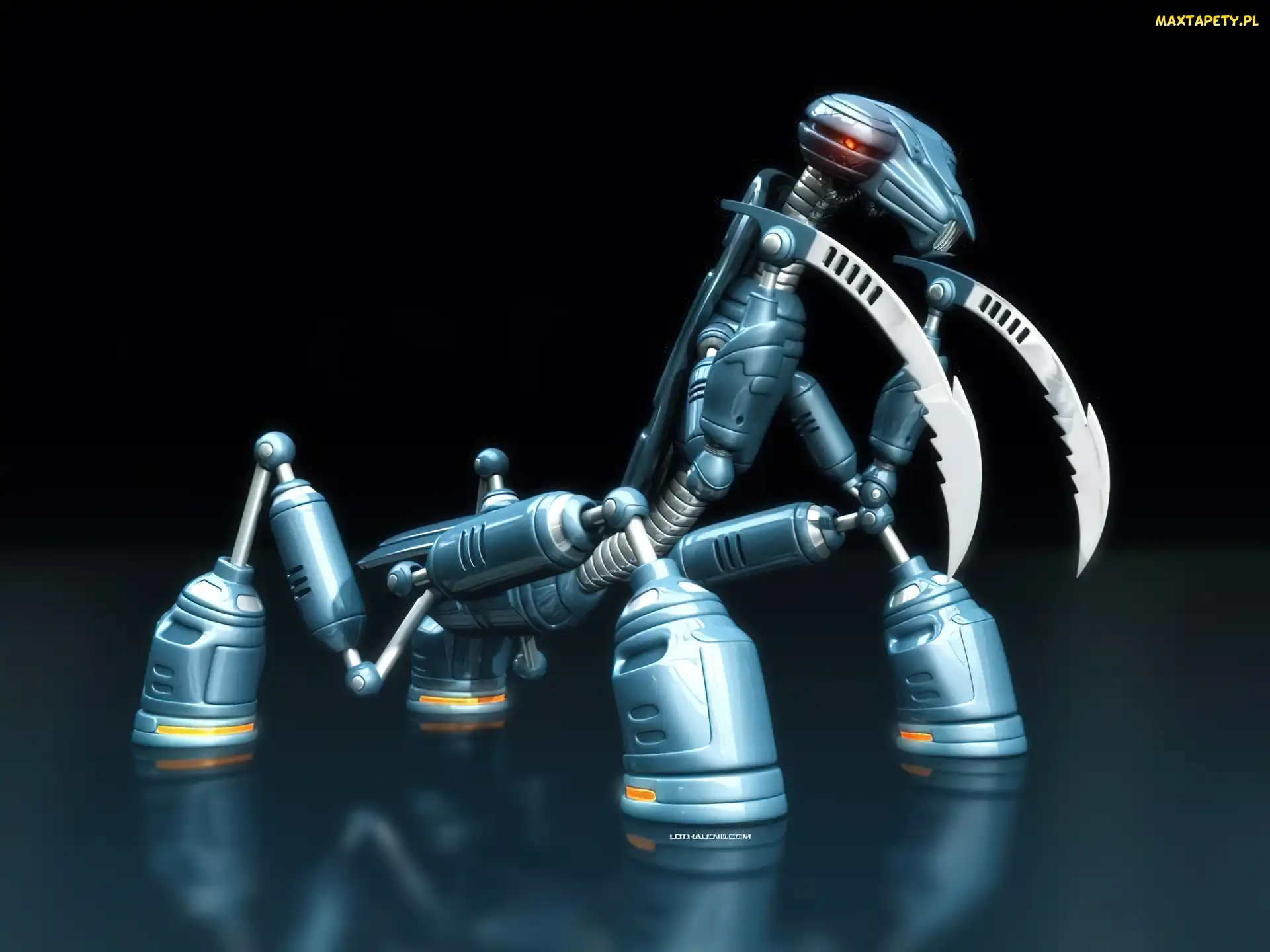 Robot, Modliszka