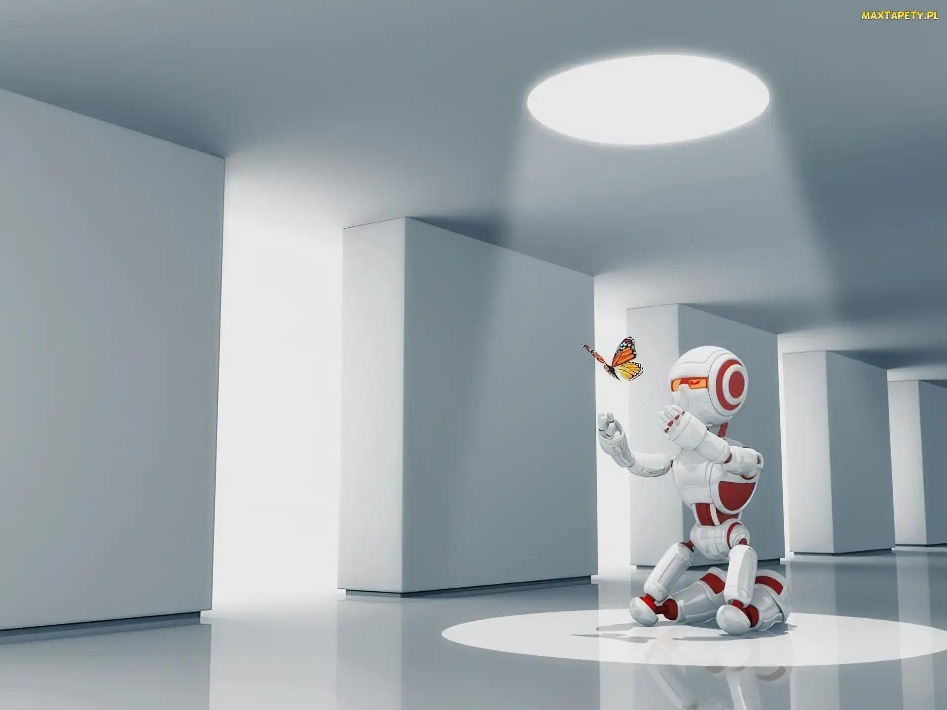Motyl, Światło, Robot