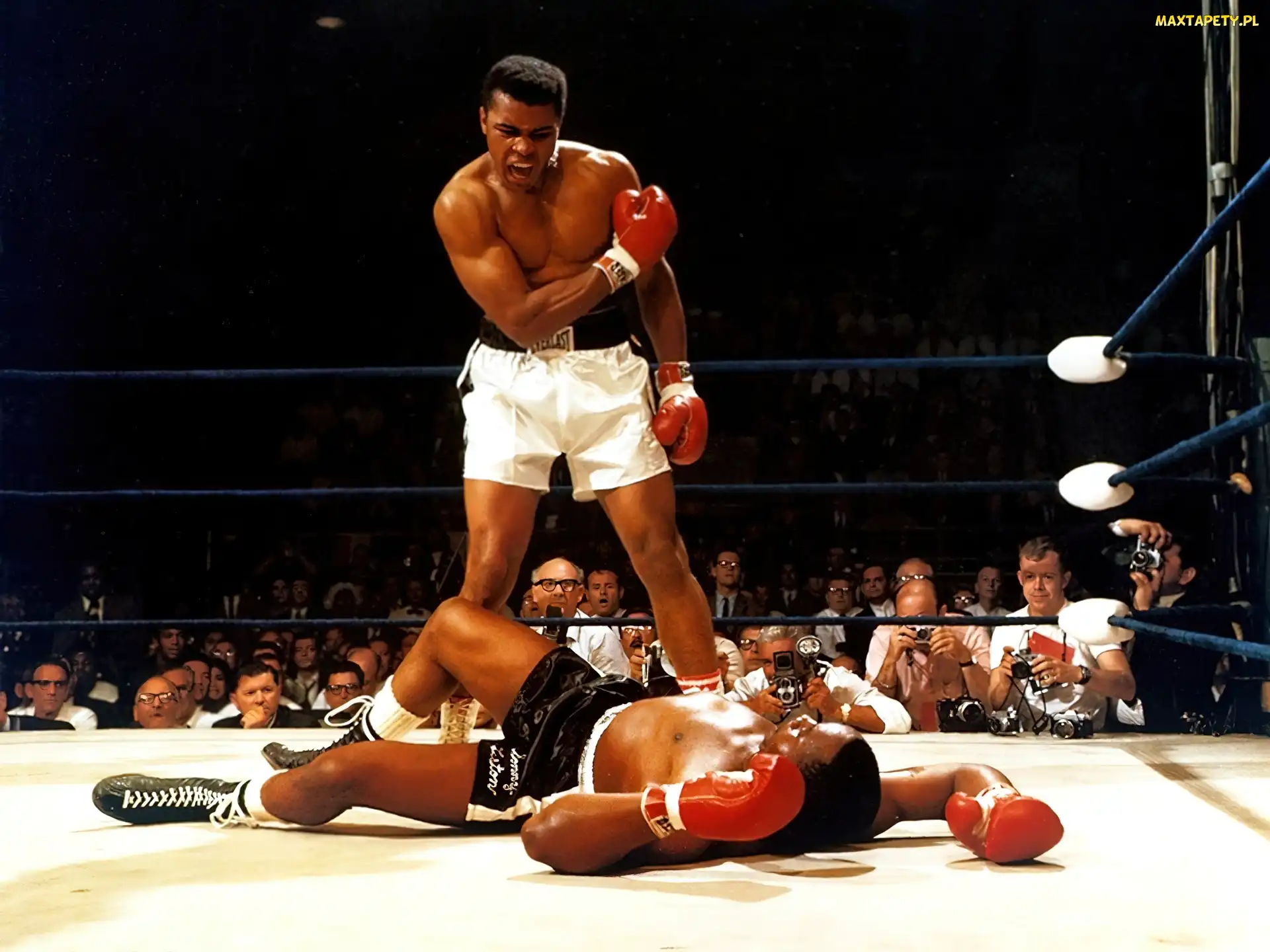 Muhammad Ali, Nokaut