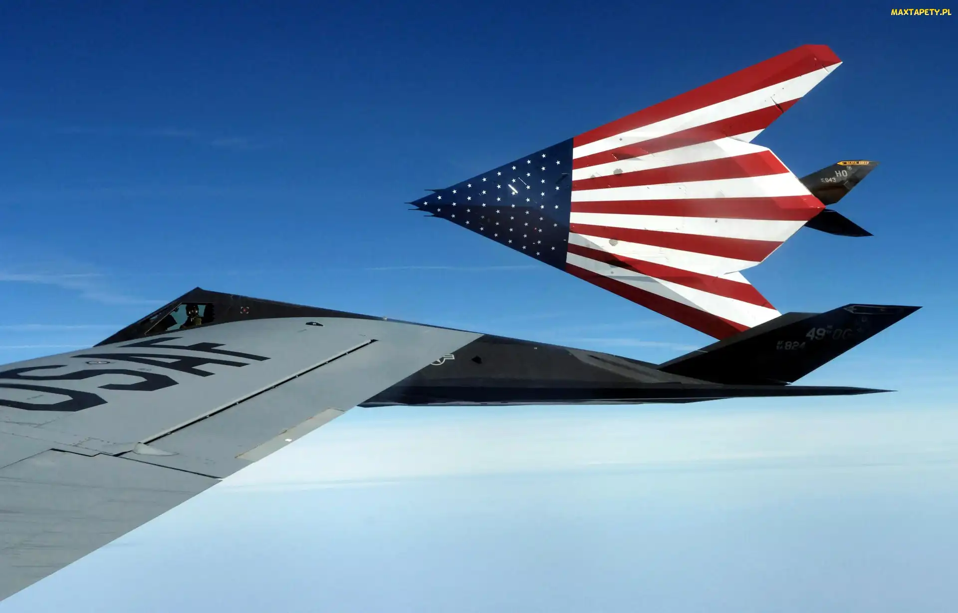 Flaga, USA, F-117 Nighthawk