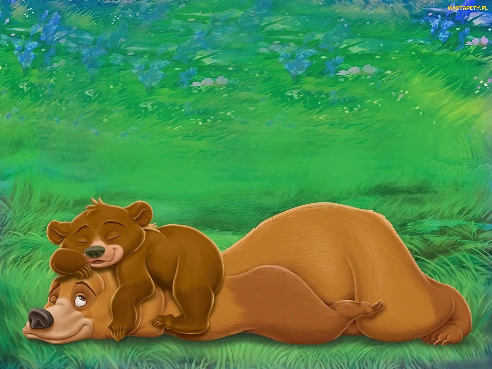 Odpoczynek, Misie, Mój brat niedźwiedź, Brother Bear