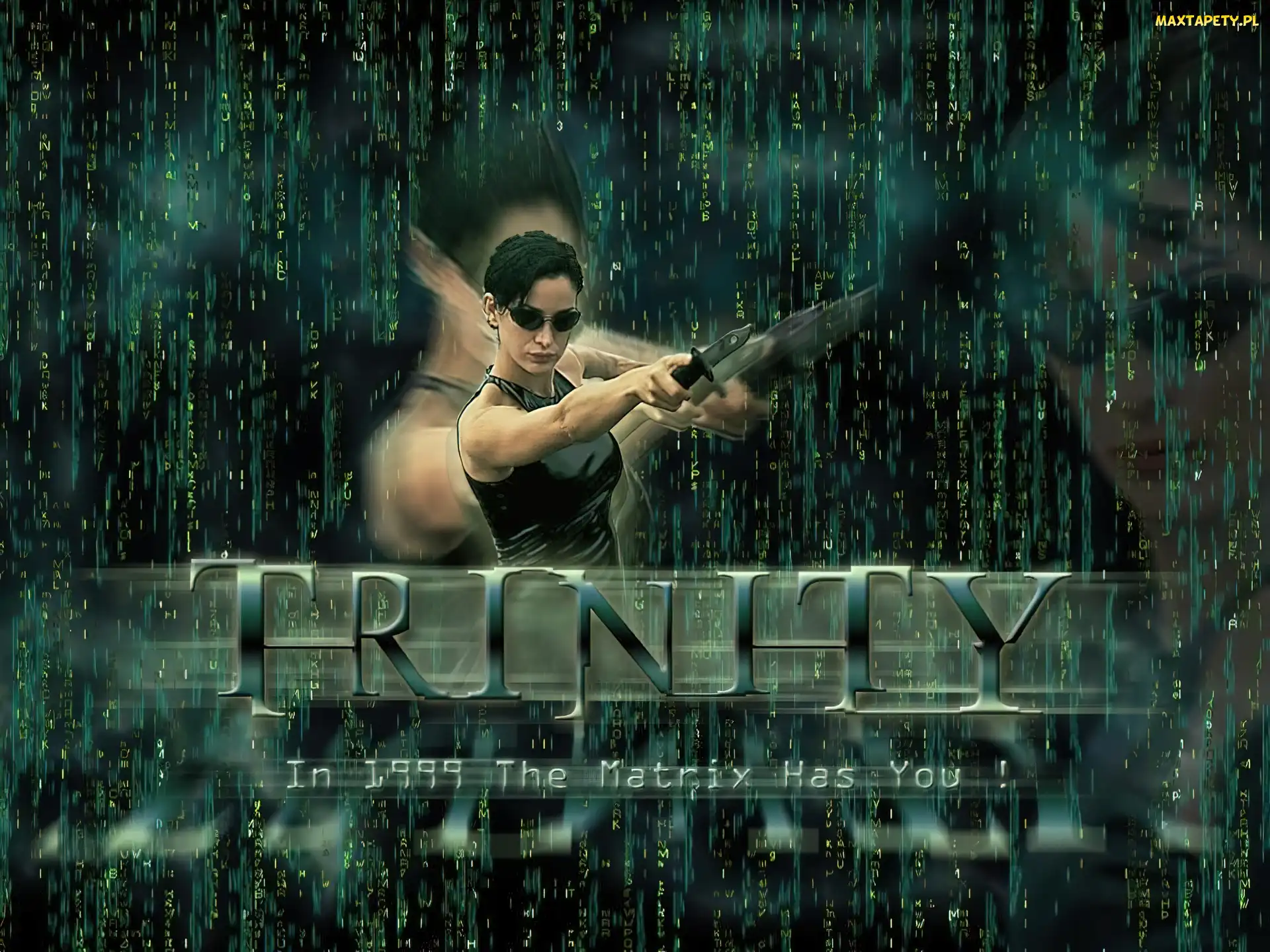 Carrie Anne Moss, Trinity, Matrix