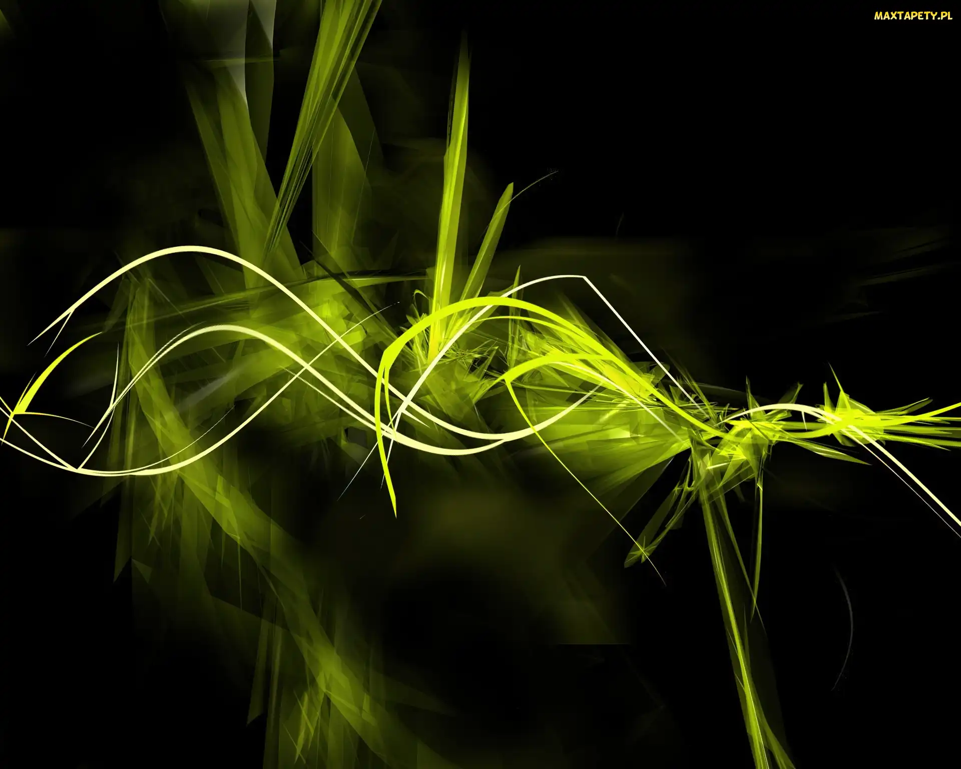 Smugi, 3D
