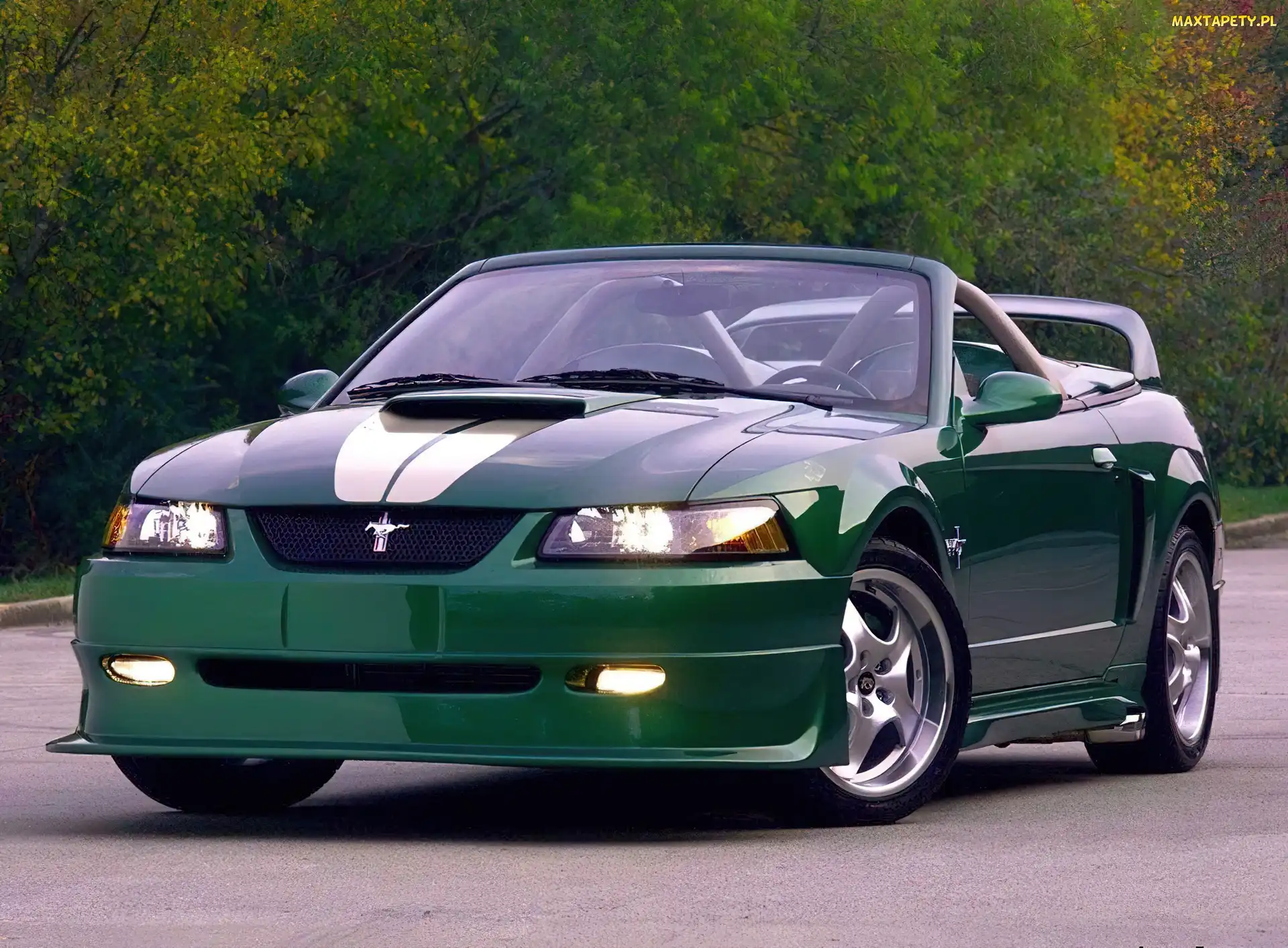 Kabriolet, Tuning, Ford Mustang