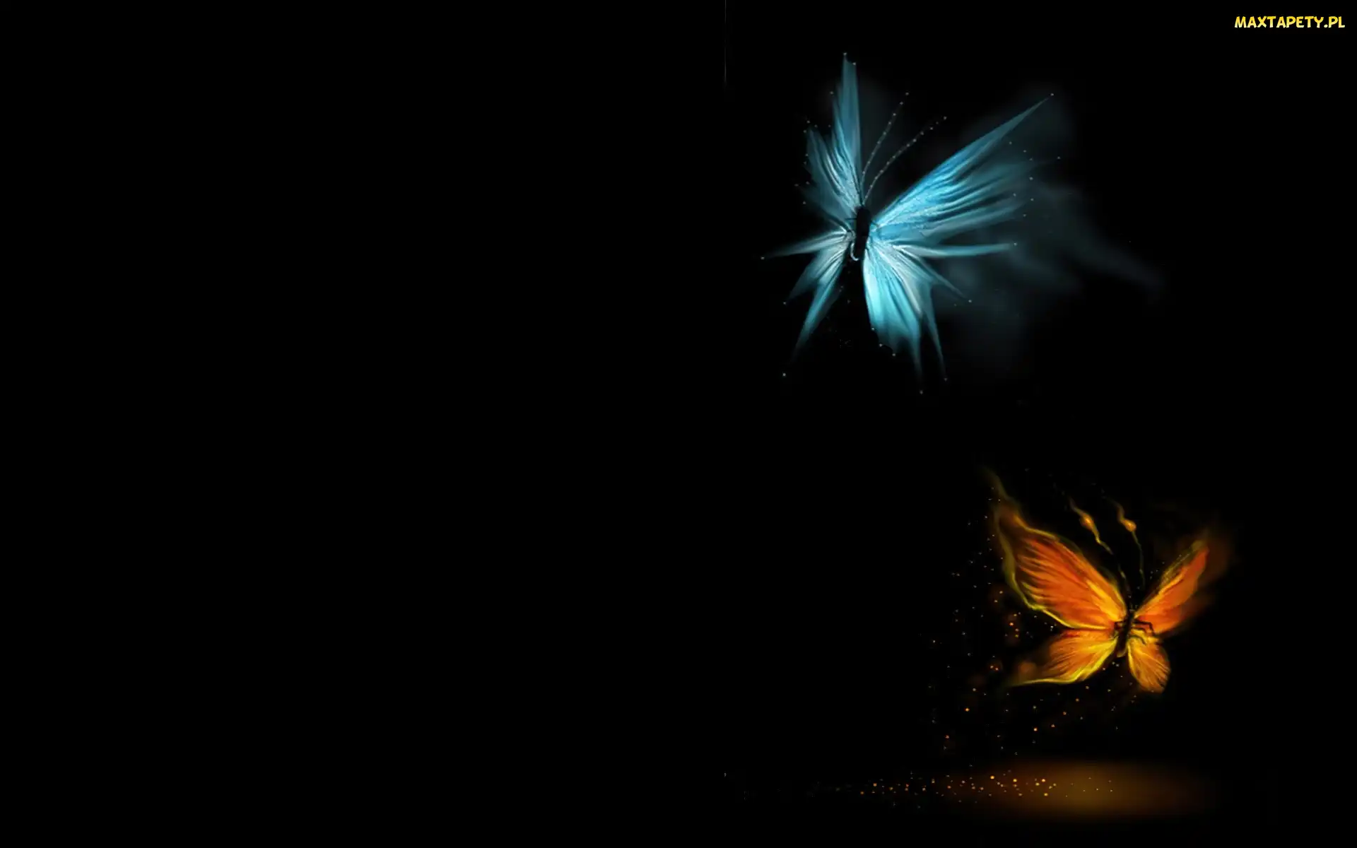 Motyle, Grafika