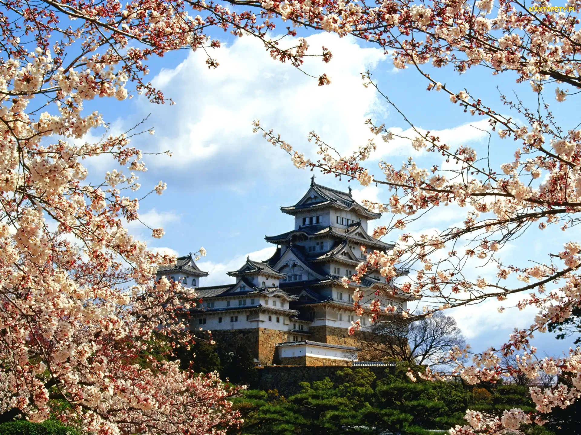 Zamek, Himeji Jo, Japoński