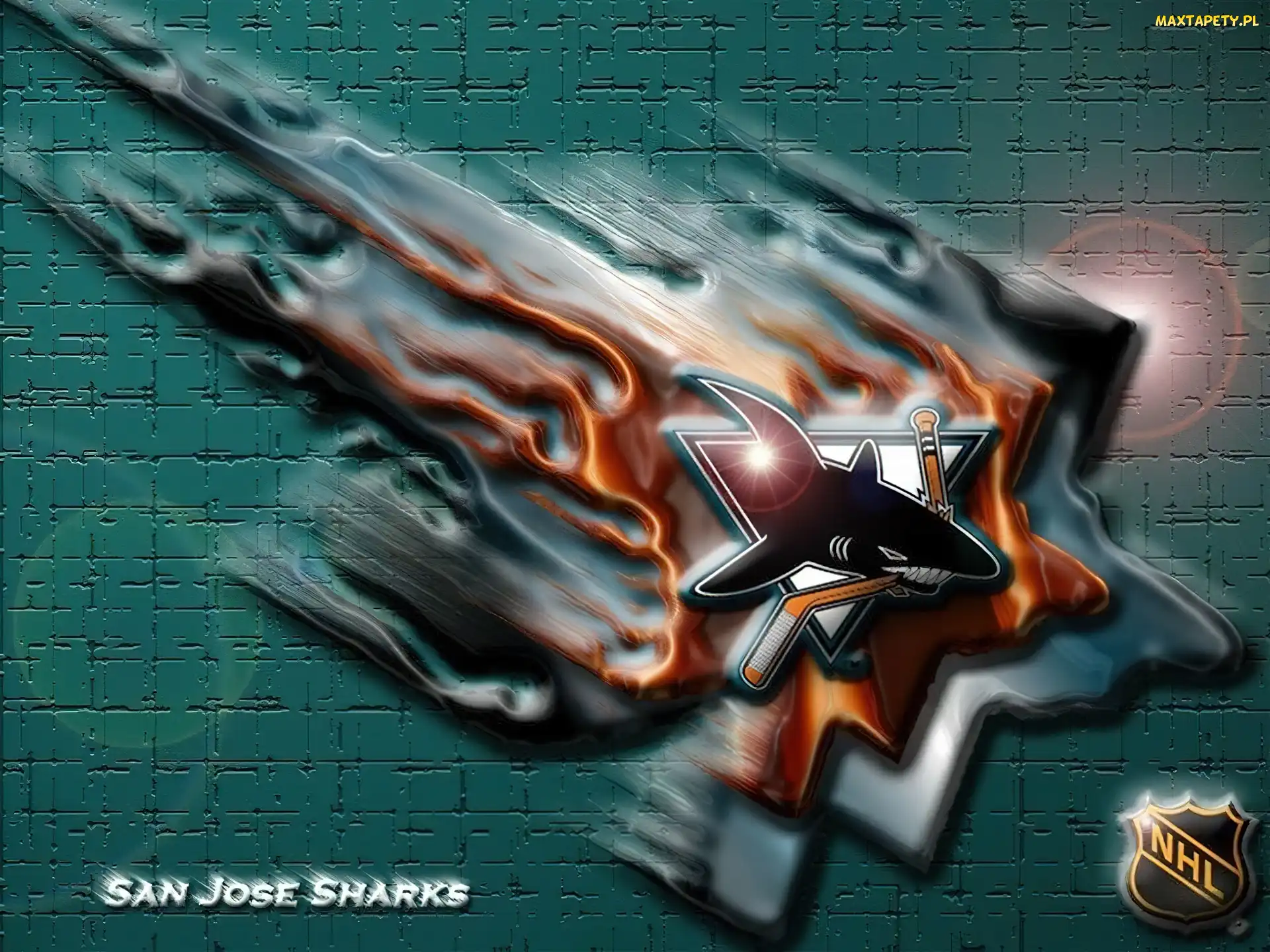 San Jose Sharks, NHL, Logo, Drużyny