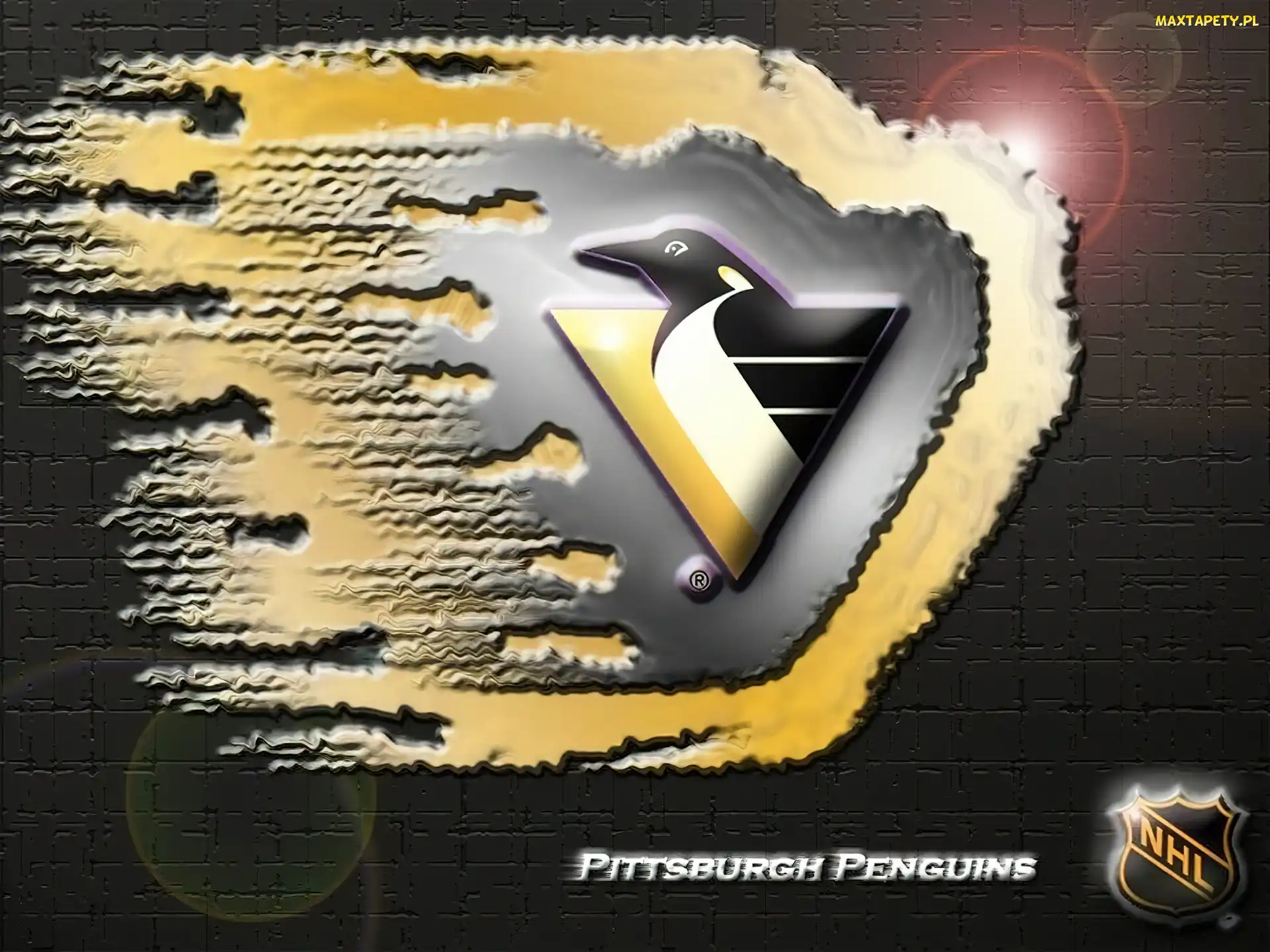 Pittsburgh Penguins, NHL, Logo, Drużyny