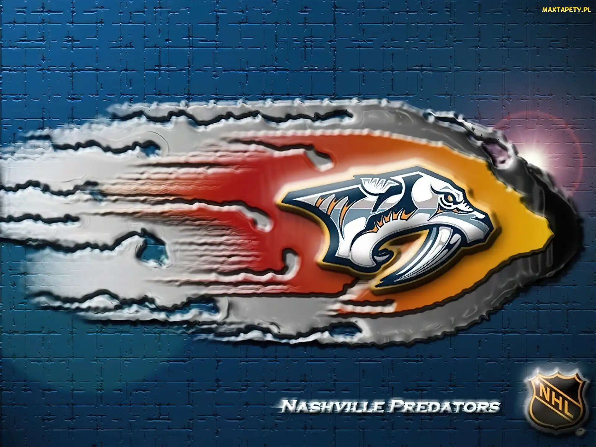 Nashville Predators, NHL, Logo, Drużyny
