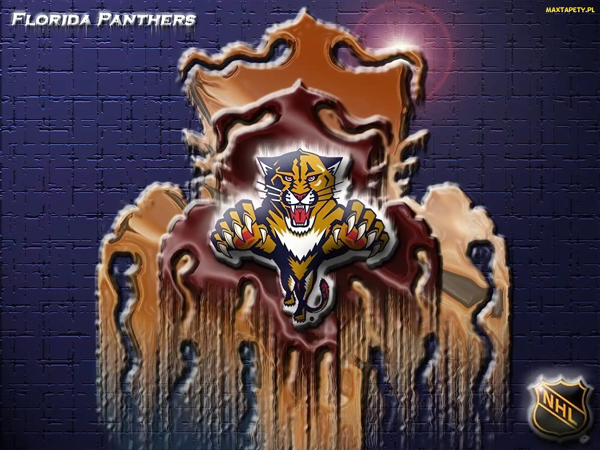 Florida Panthers, NHL, Logo, Drużyny