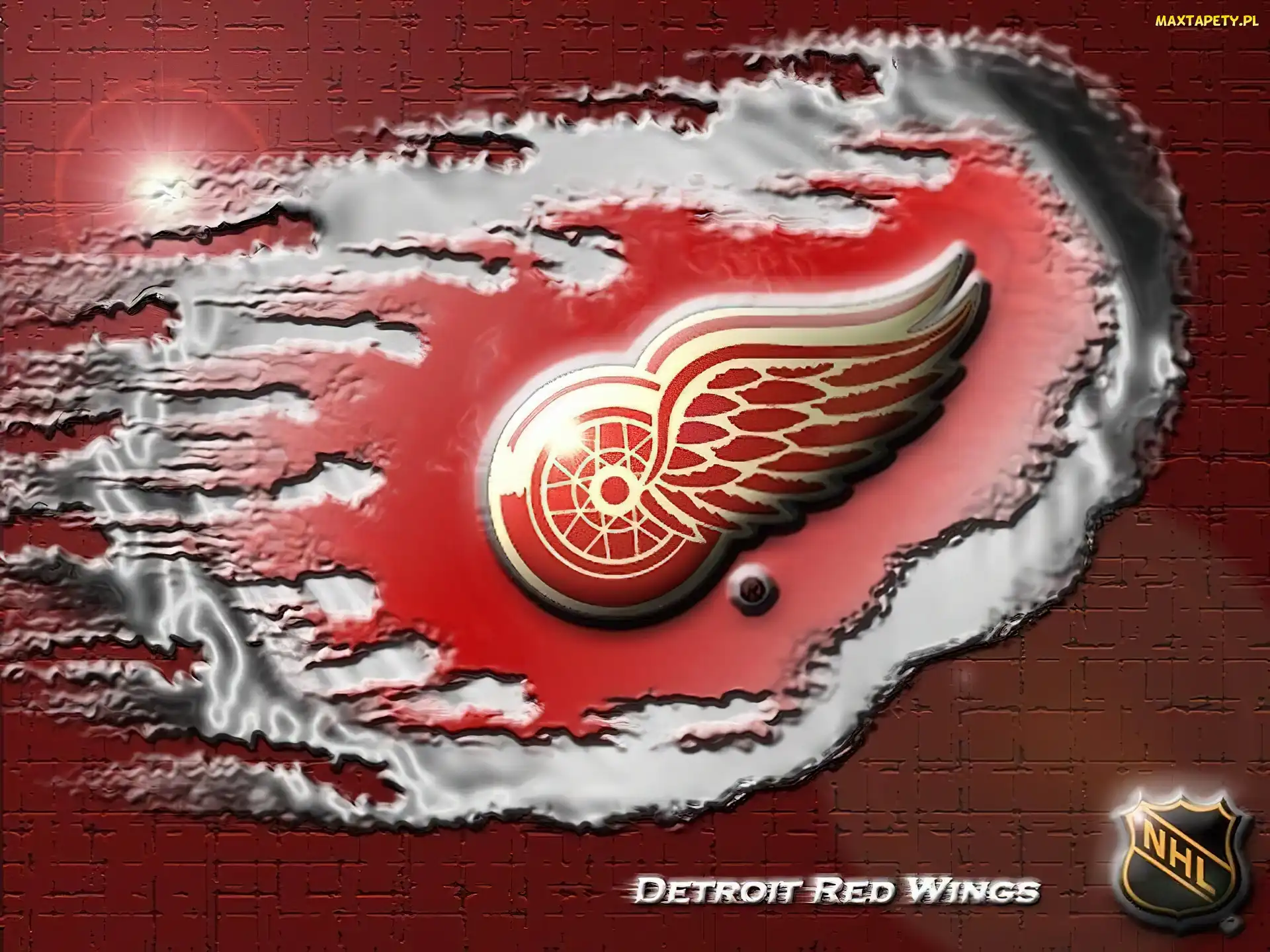 Detroit Red Wings, NHL, Logo, Drużyny