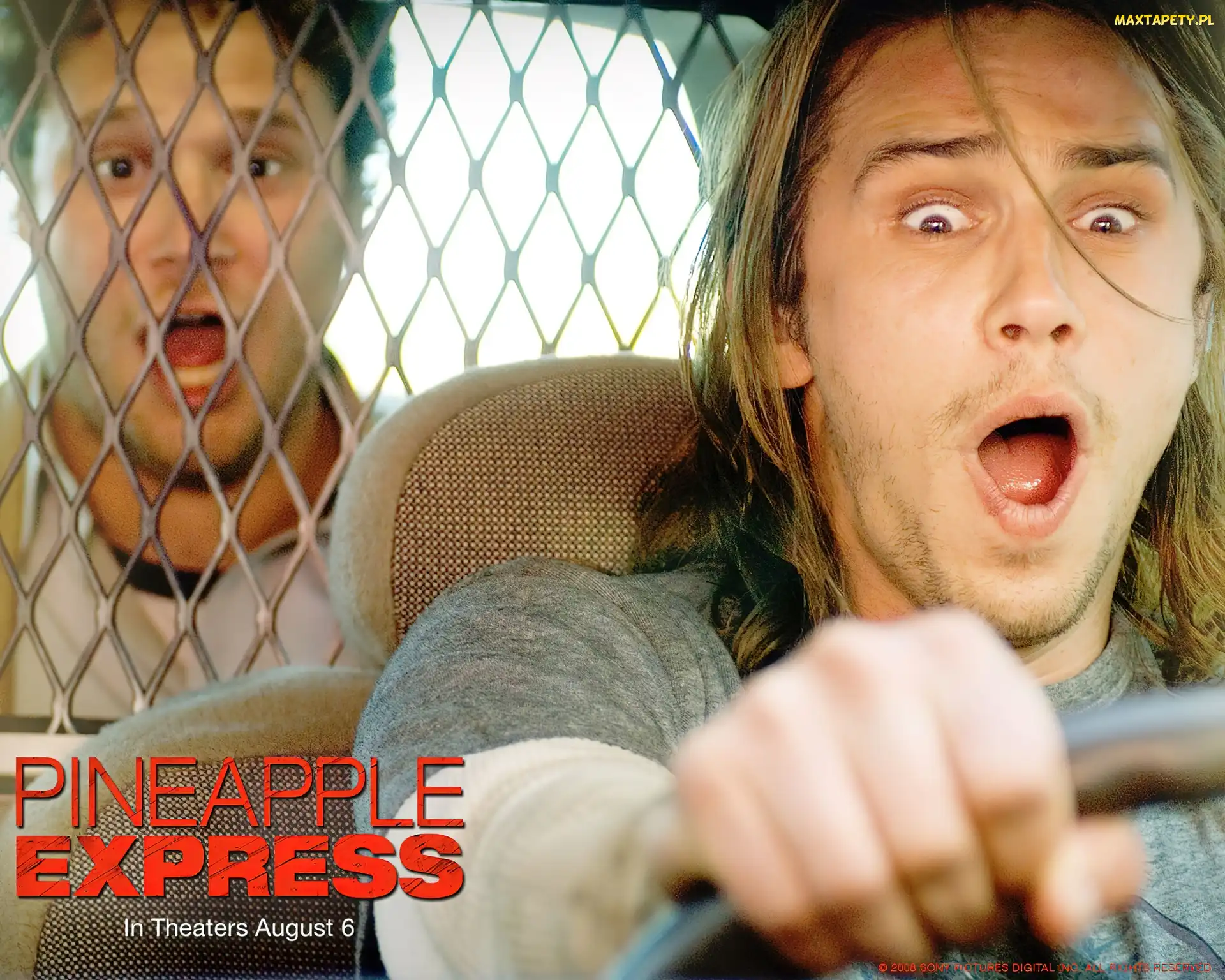 Pineapple Express, Komedia