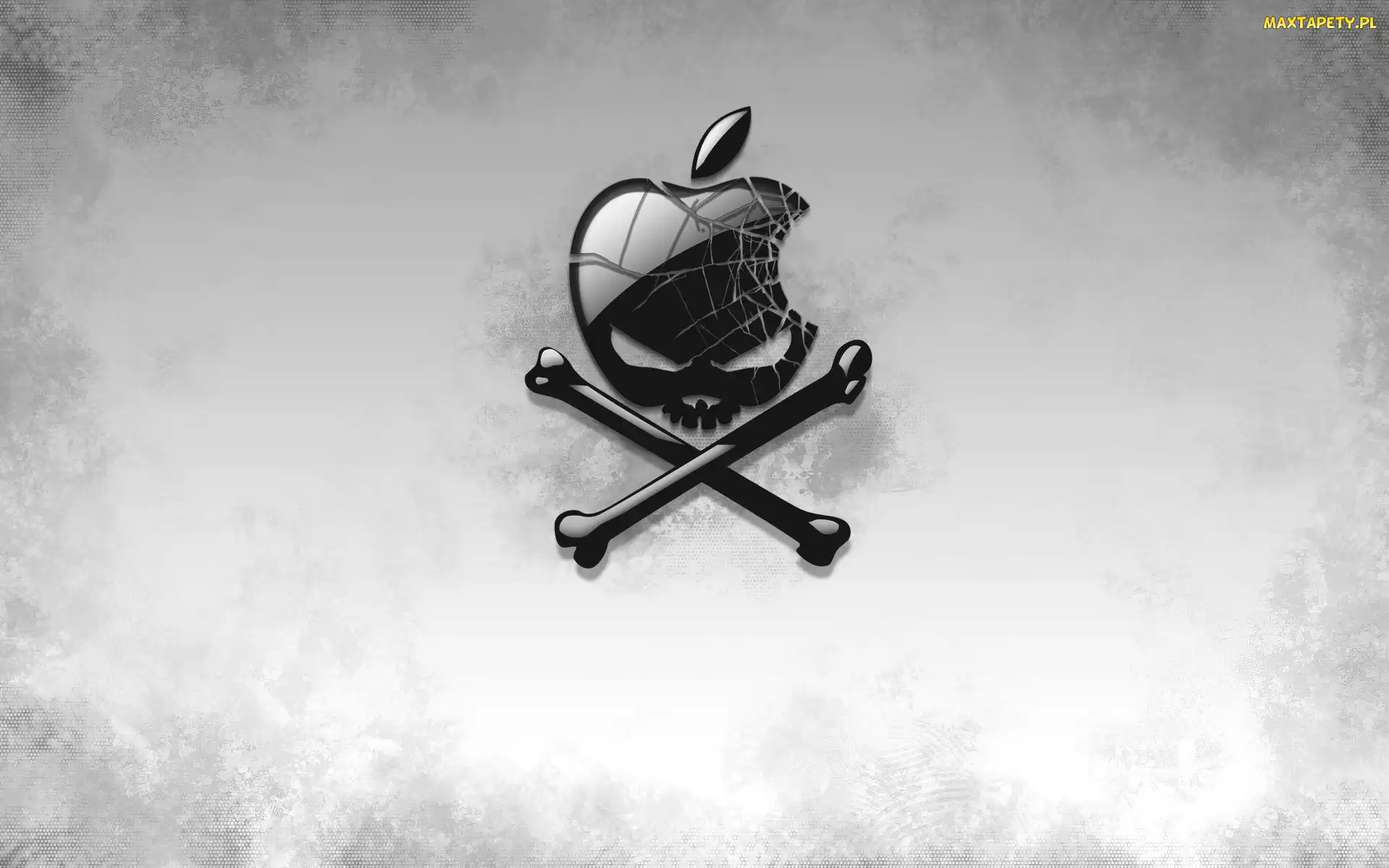Czaszka, Apple