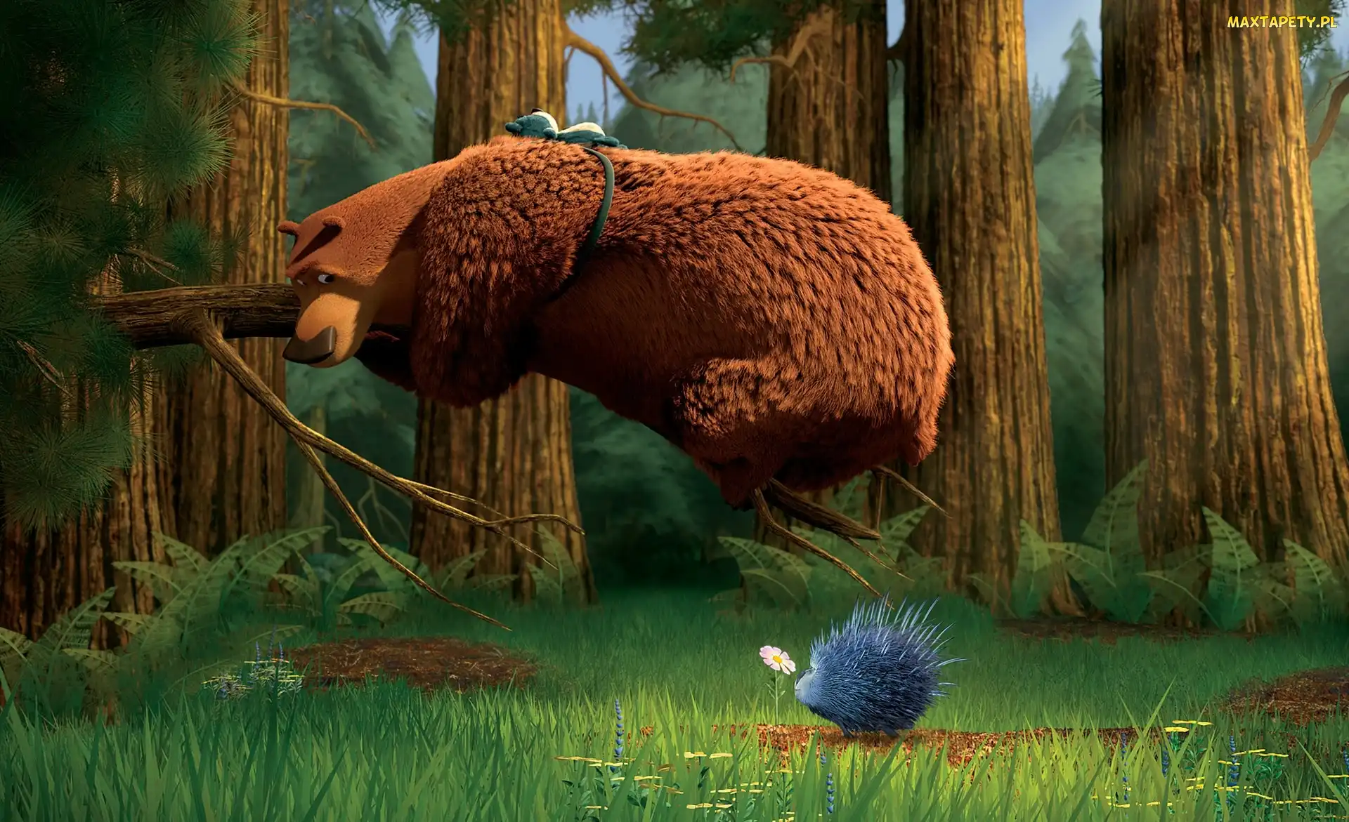 Bajka, Open Season, Sezon na misia