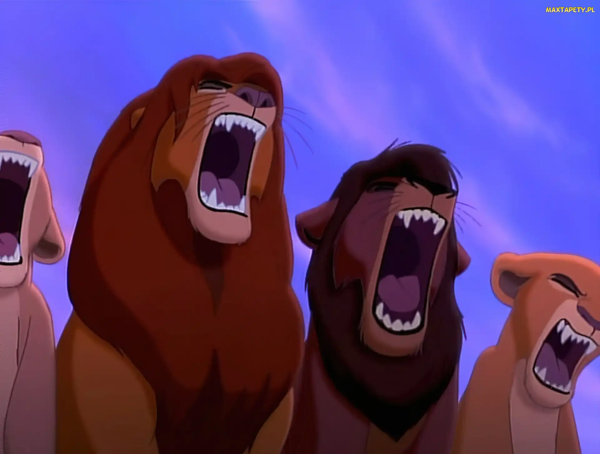 Król Lew, The Lion King