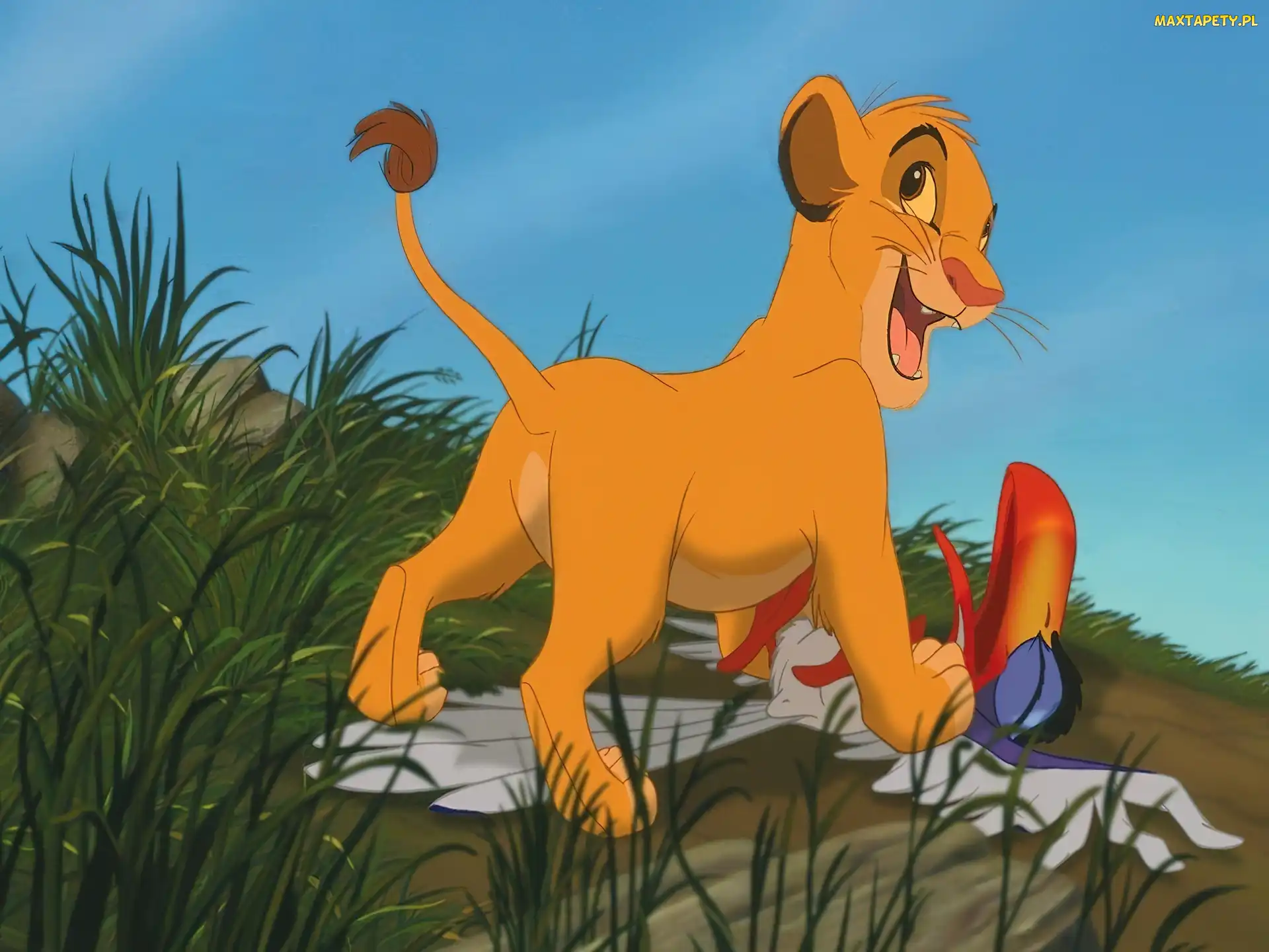 Simba, The Lion King, Król Lew 2