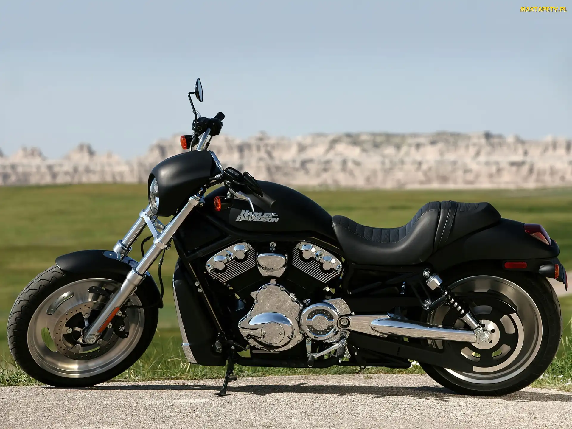 Siedzenie, Harley-Davidson Night Rod