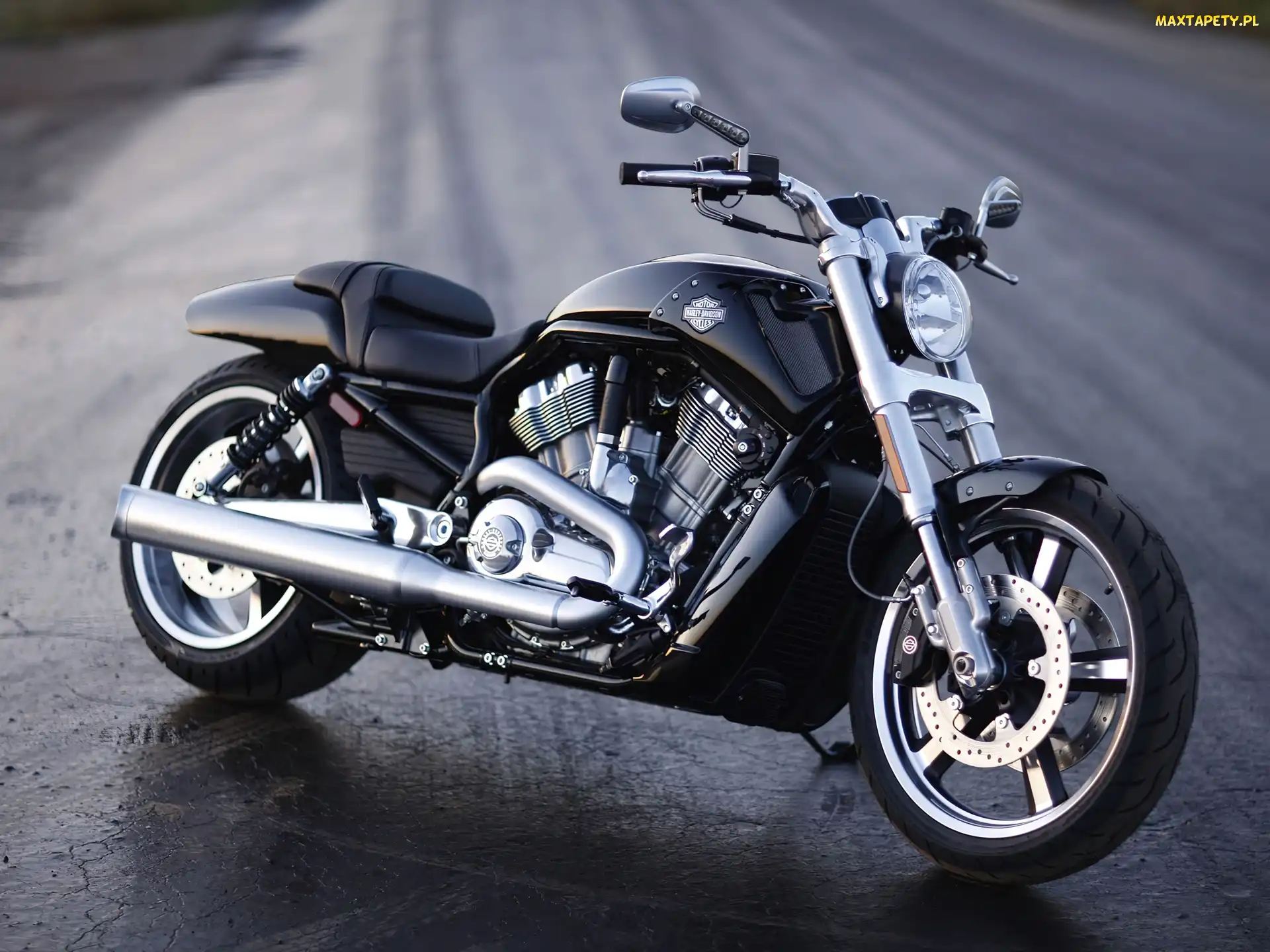 Masywna, Chłodnica, Harley Davidson V-Rod Muscle