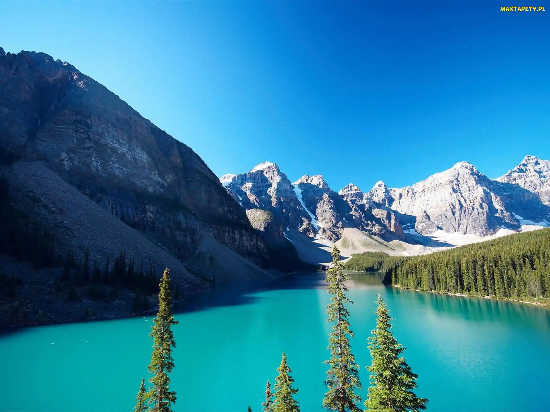 Prowincja Alberta, Świerki, Jezioro Moraine, Park Narodowy Banff, Kanada