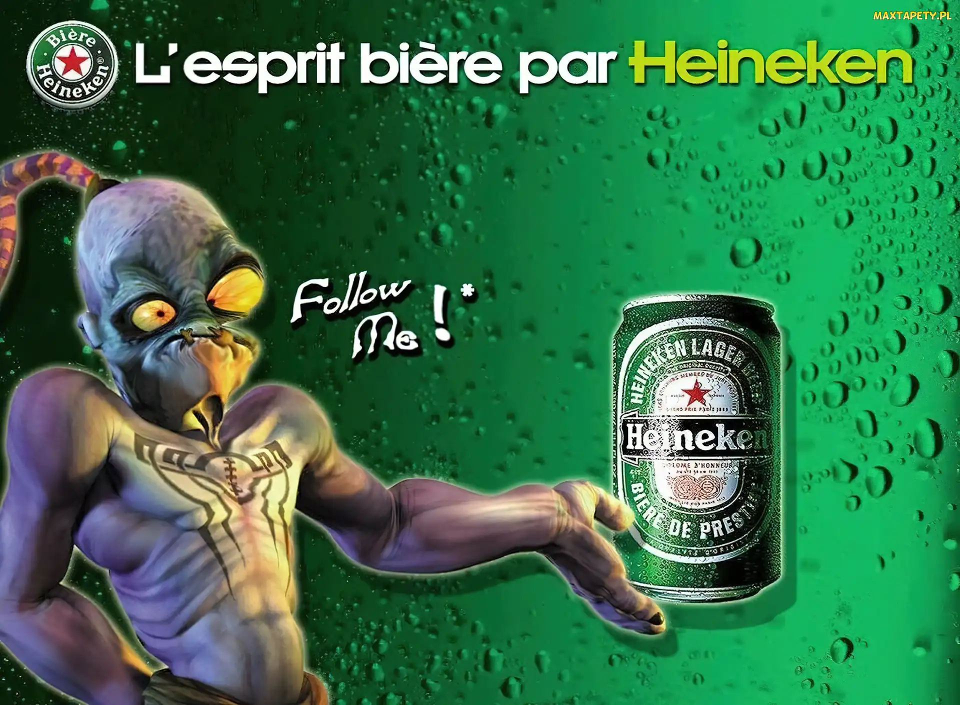 Heineken, Puszka, Piwo