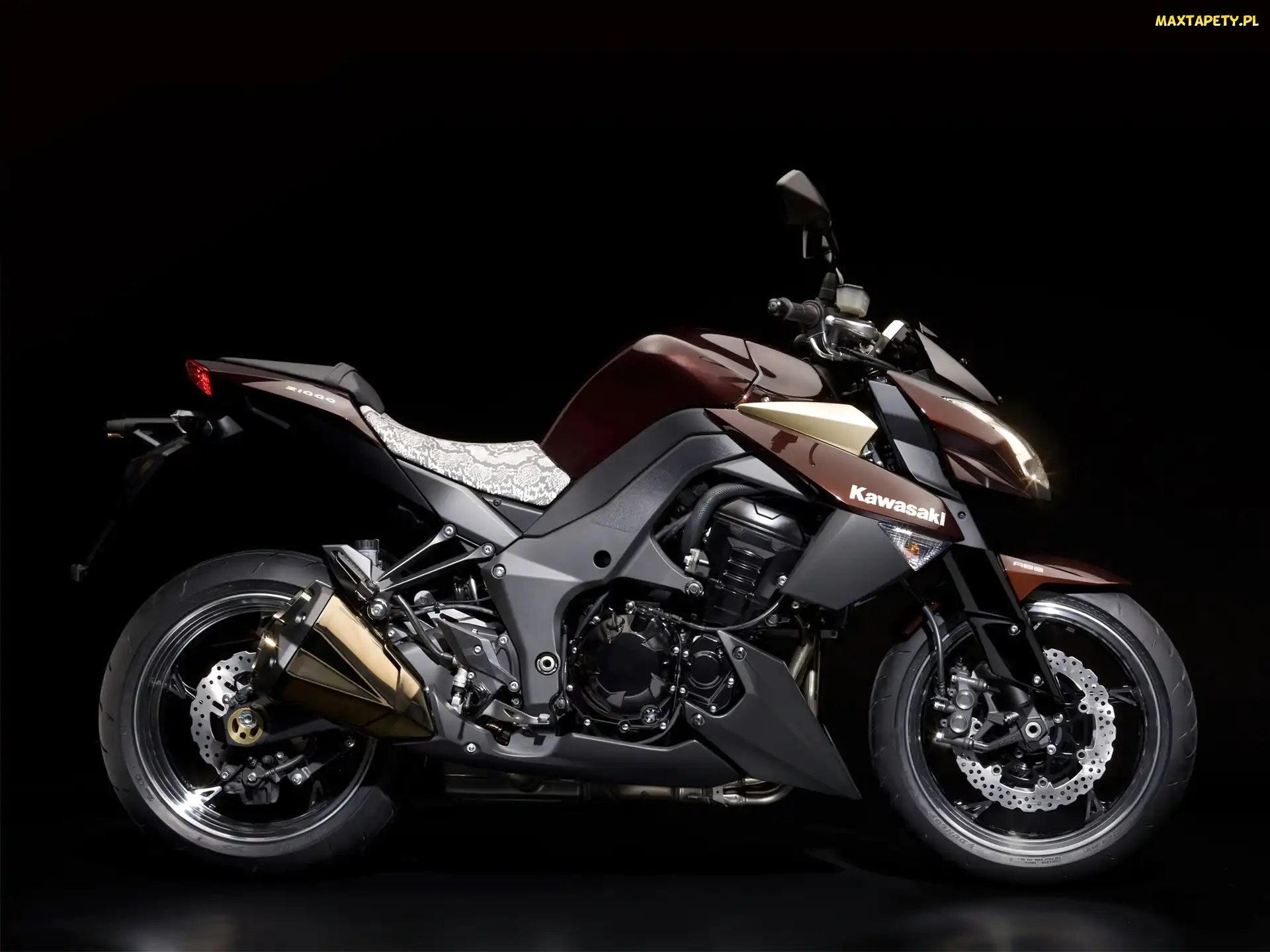 Naked, Tłumik, Kawasaki Z1000