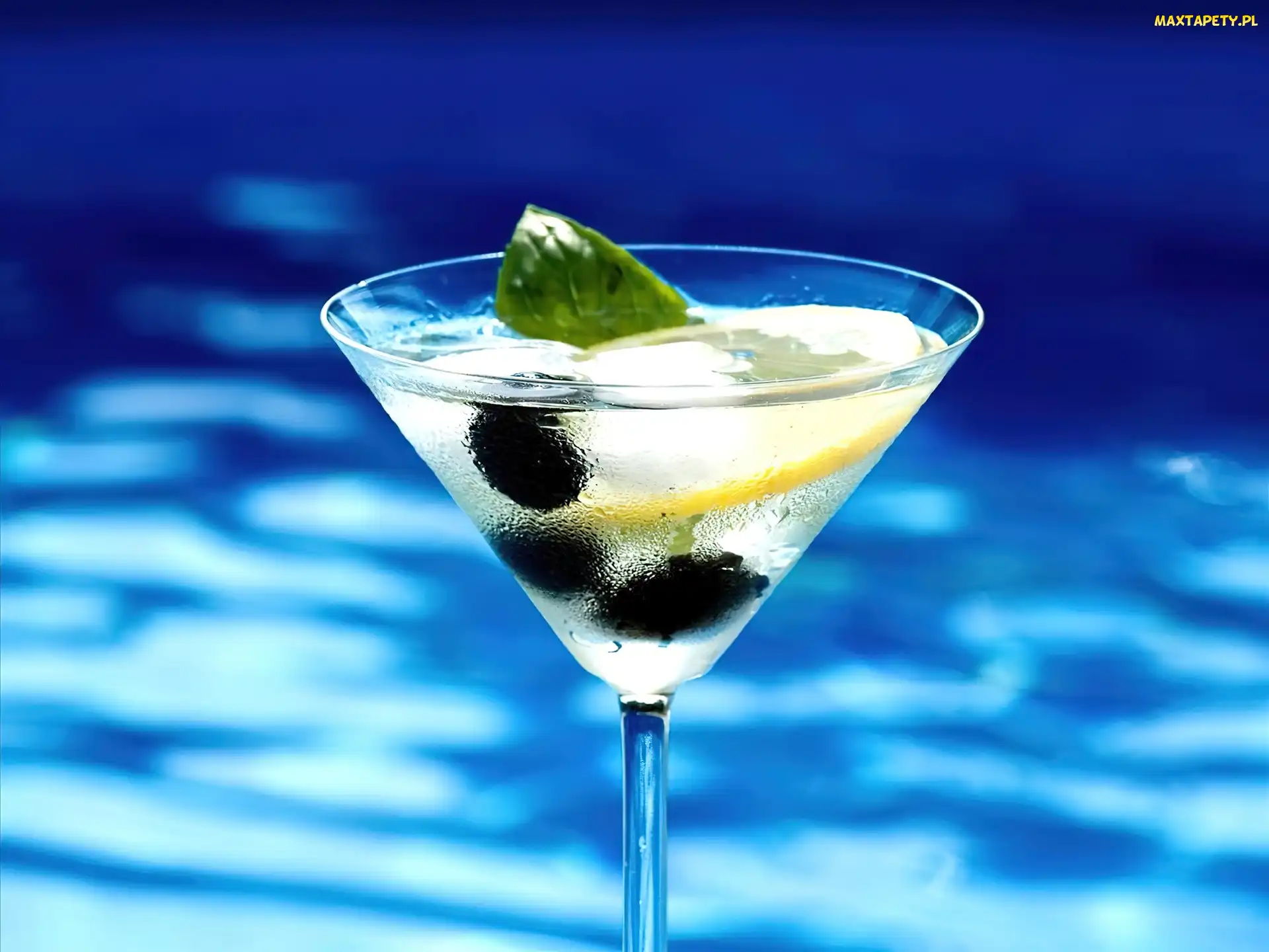 Kieliszek, Oliwki, Drink