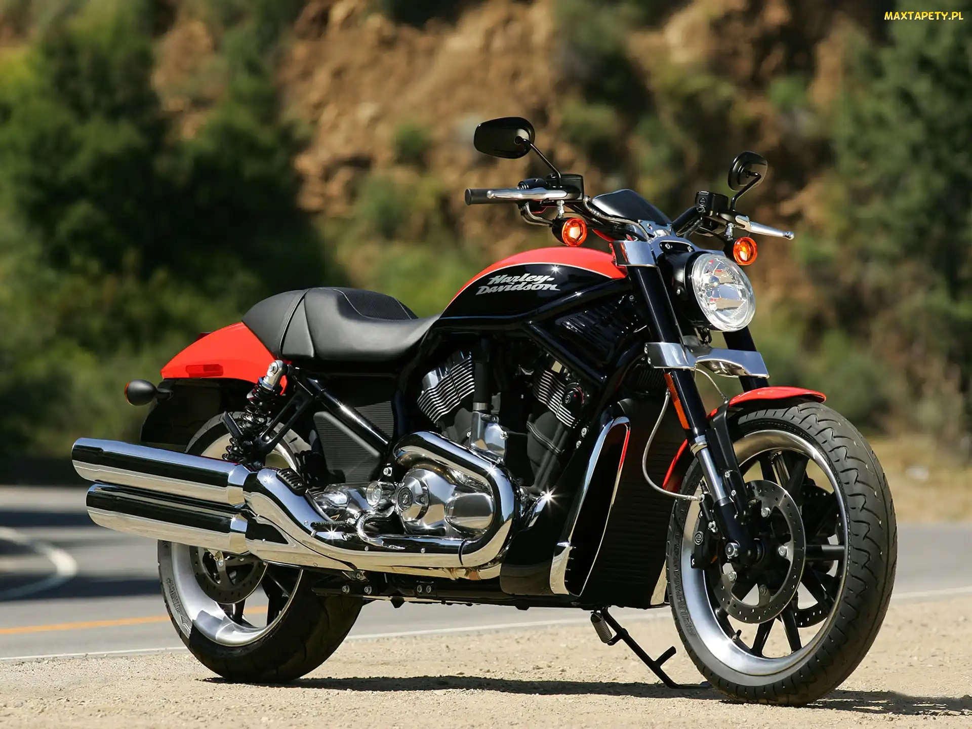Harley Davidson VRSCR Street Rod, Cruiser