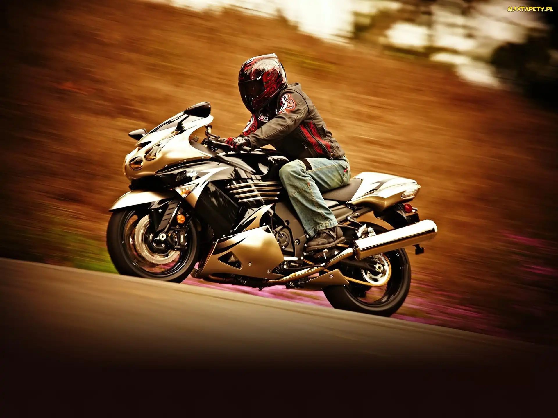 Kawasaki Ninja ZX-14, Turystyk
