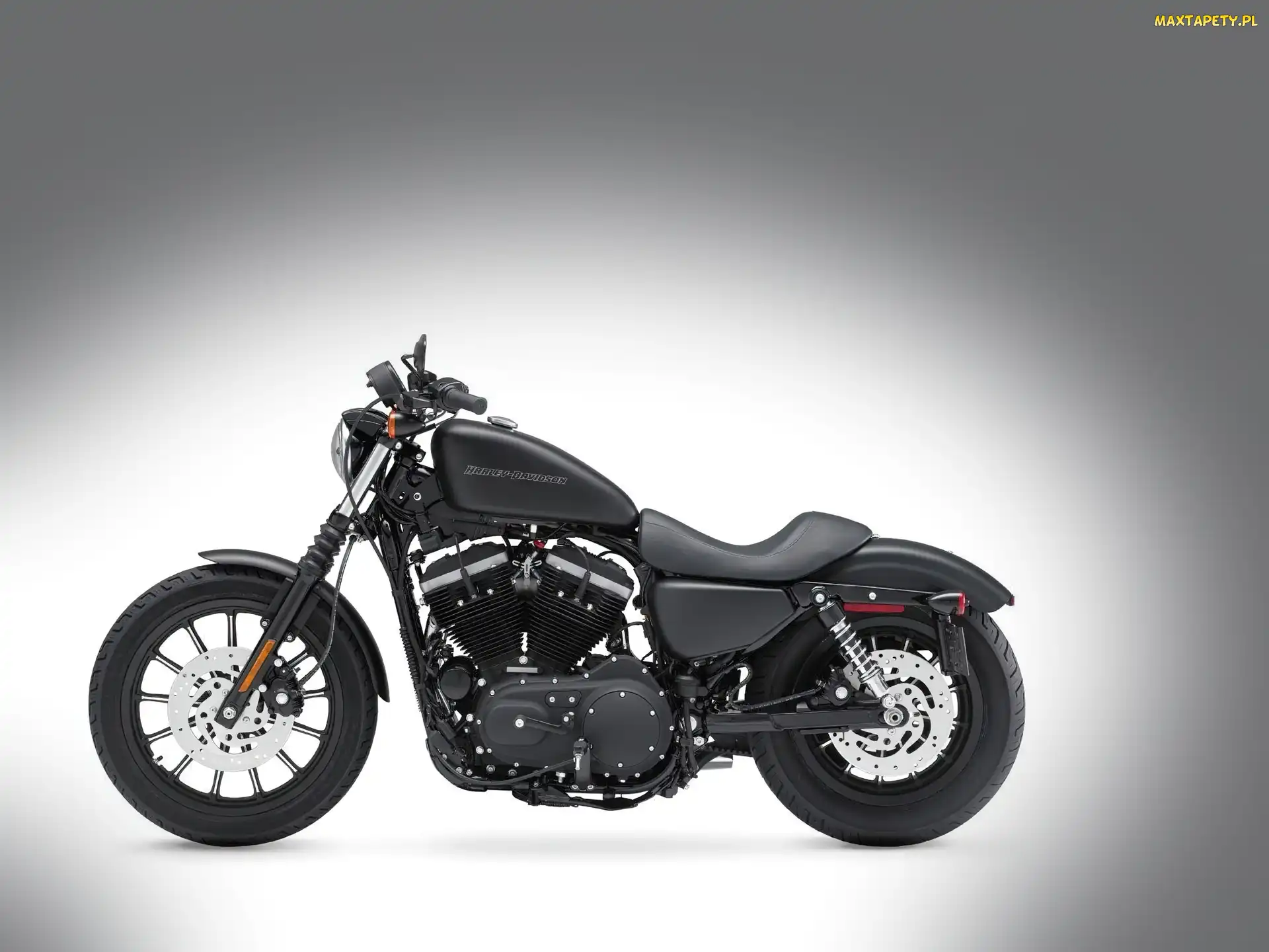 Harley Davidson Sportster Iron 883