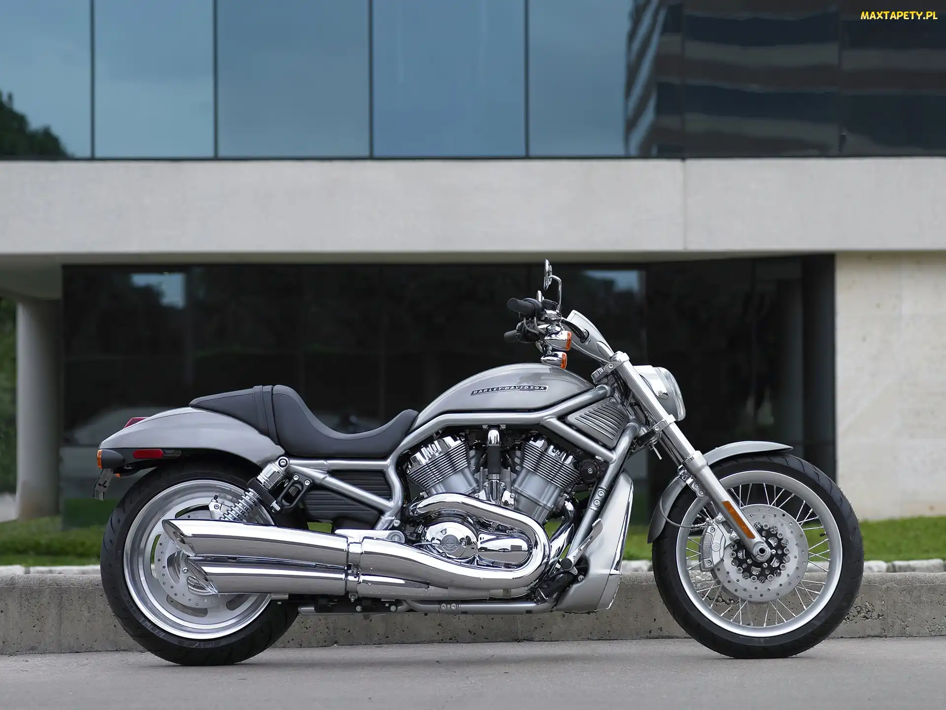 Srebrny, Harley Davidson V-Rod, Cruiser