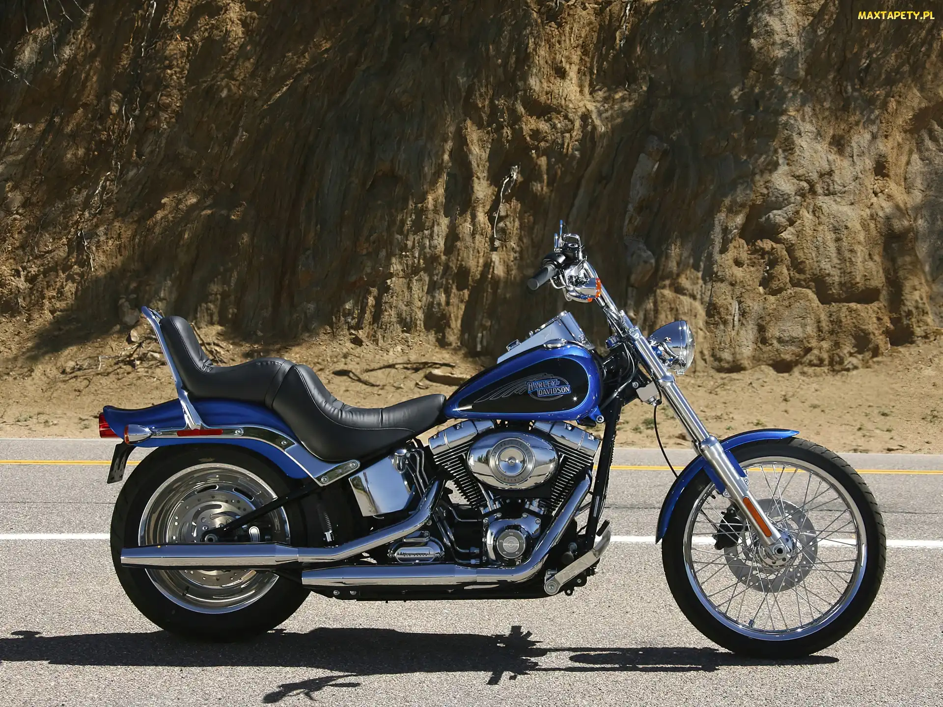 Chopper, Harley Davidson Softail Custom