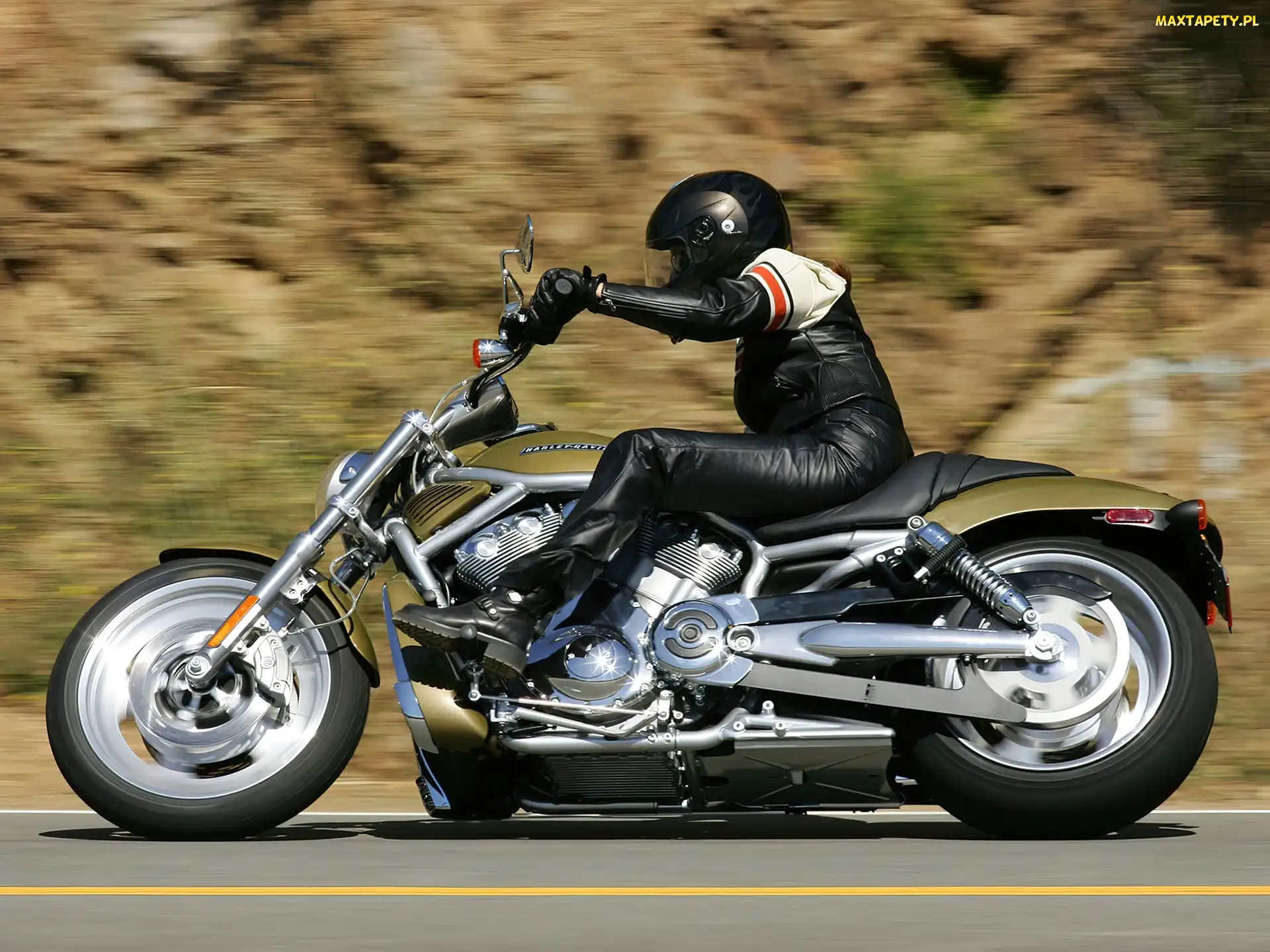 Napędowy, Pas, Harley Davidson V-Rod, Rama