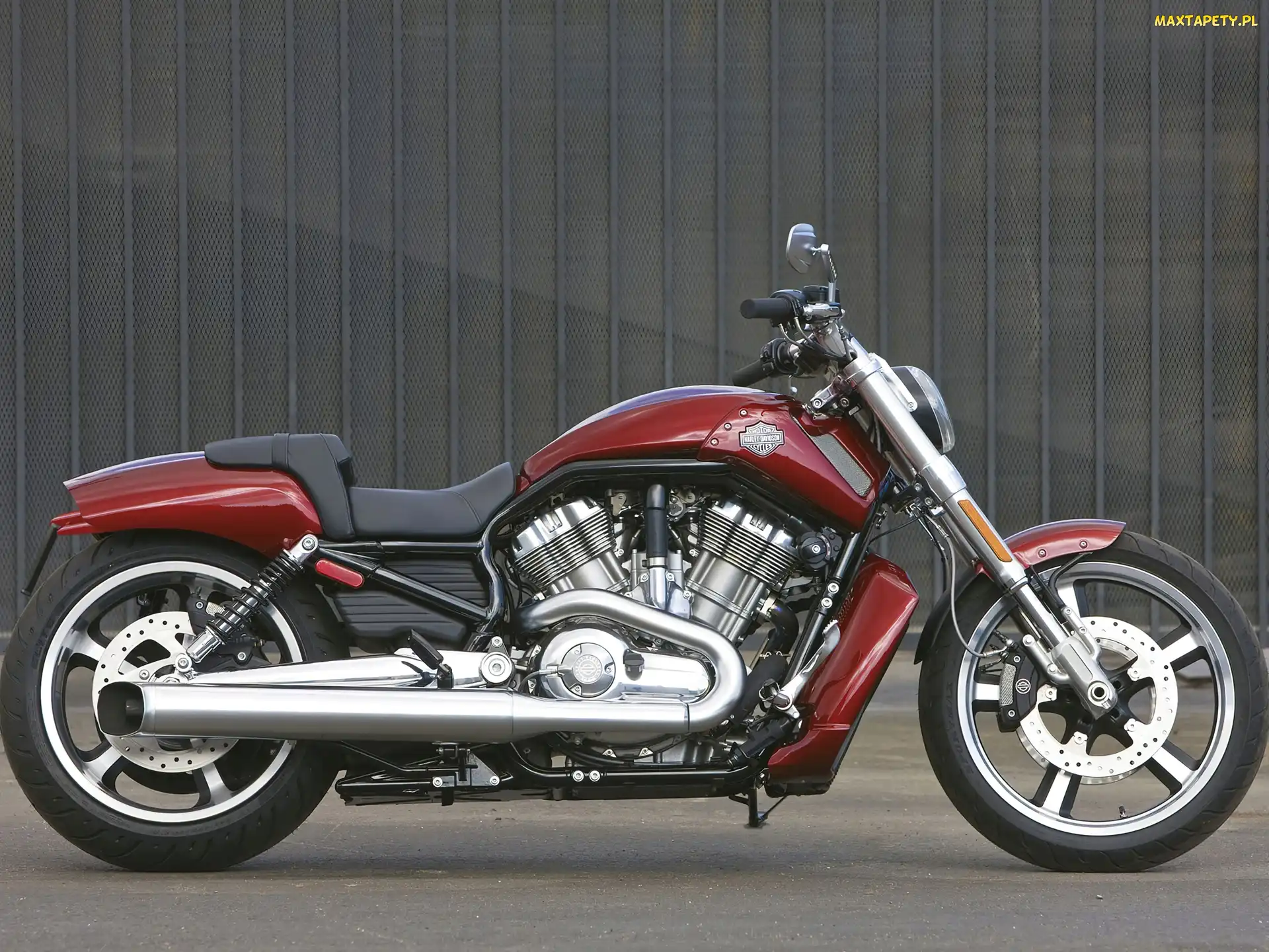 Bok, Harley Davidson V-Rod Muscle, Prawy