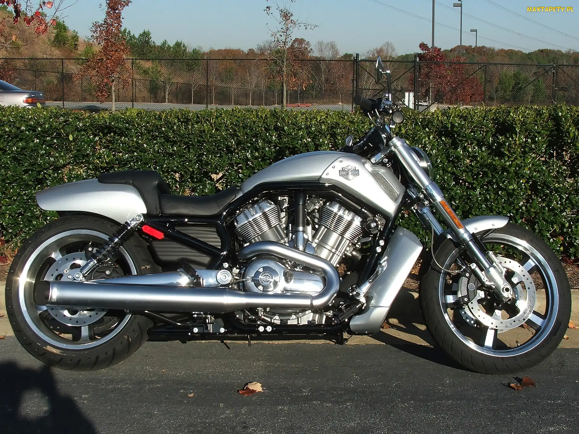 Motocykl, Harley Davidson V-Rod Muscle, Srebrny