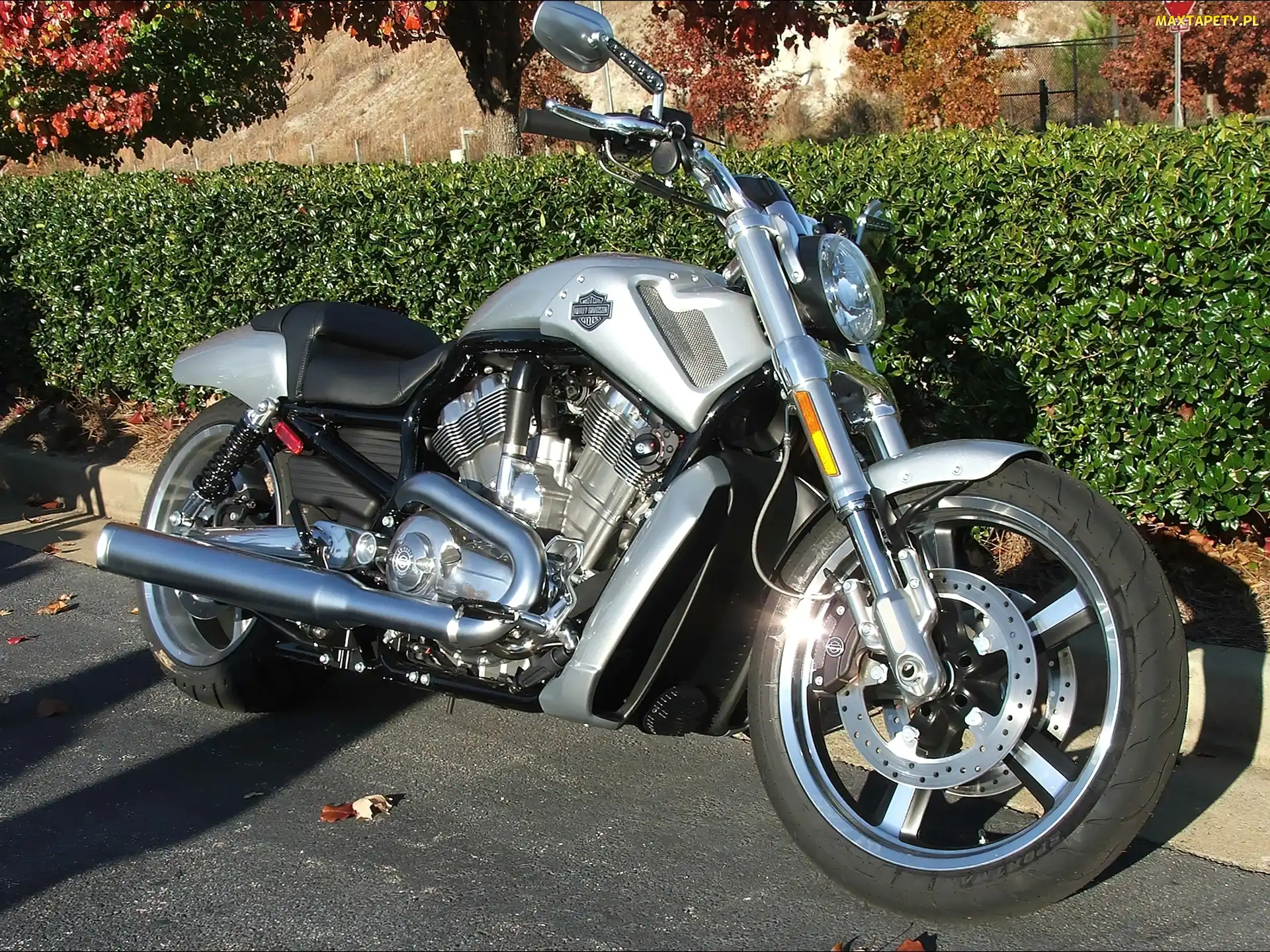 Akcesoryjne, Dodatki, Harley Davidson V-Rod Muscle