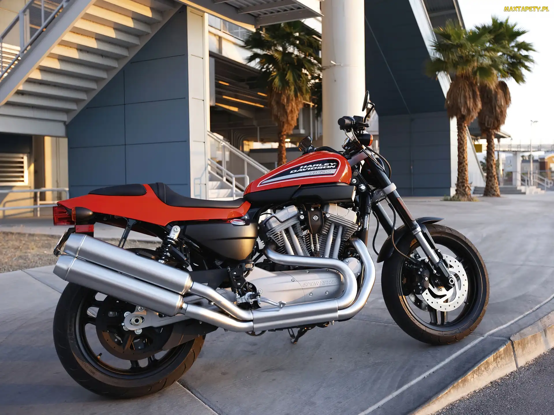 Pas, Napędowy, Harley Davidson XR1200
