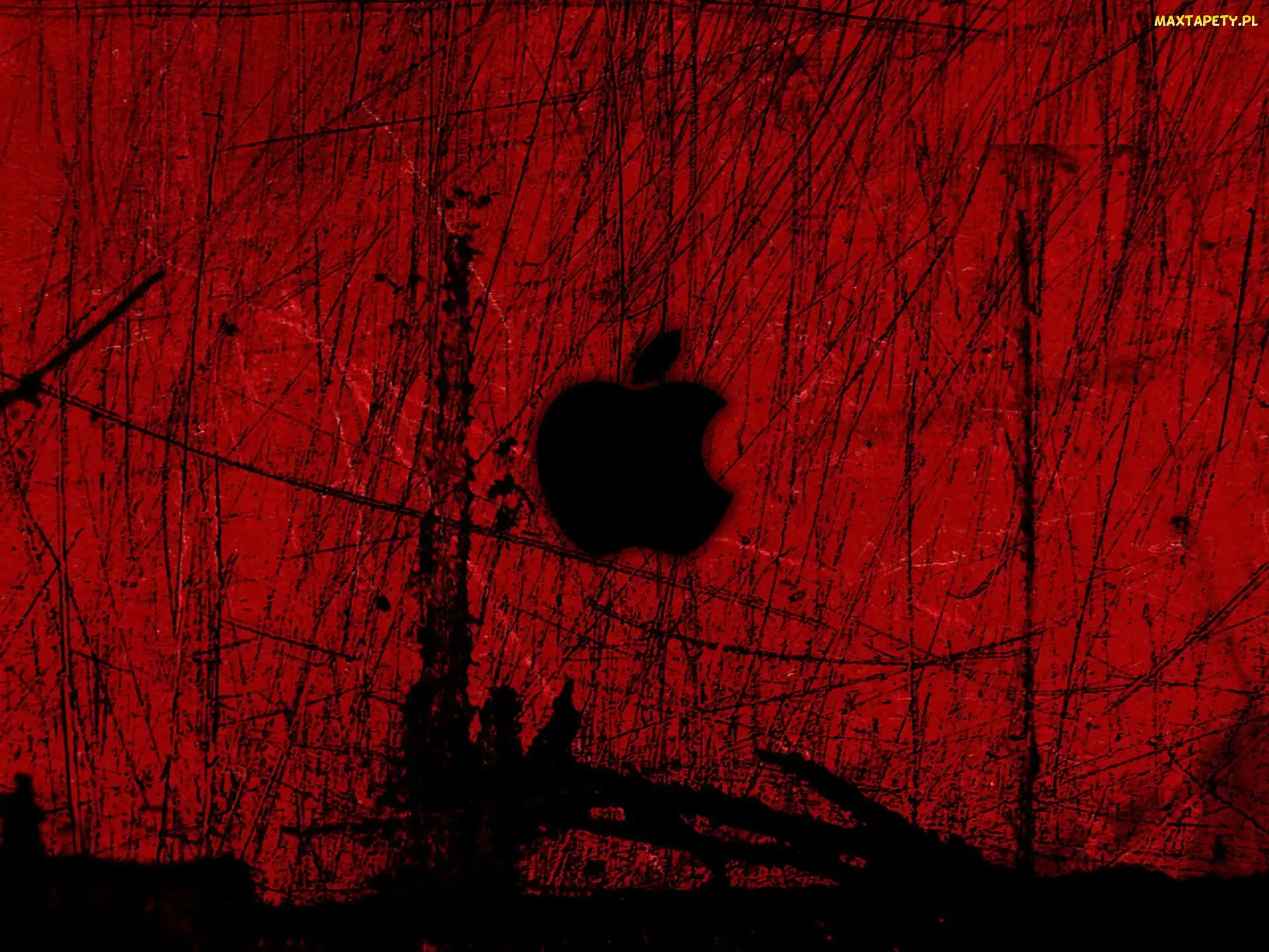 Apple, iPodów, Producenta