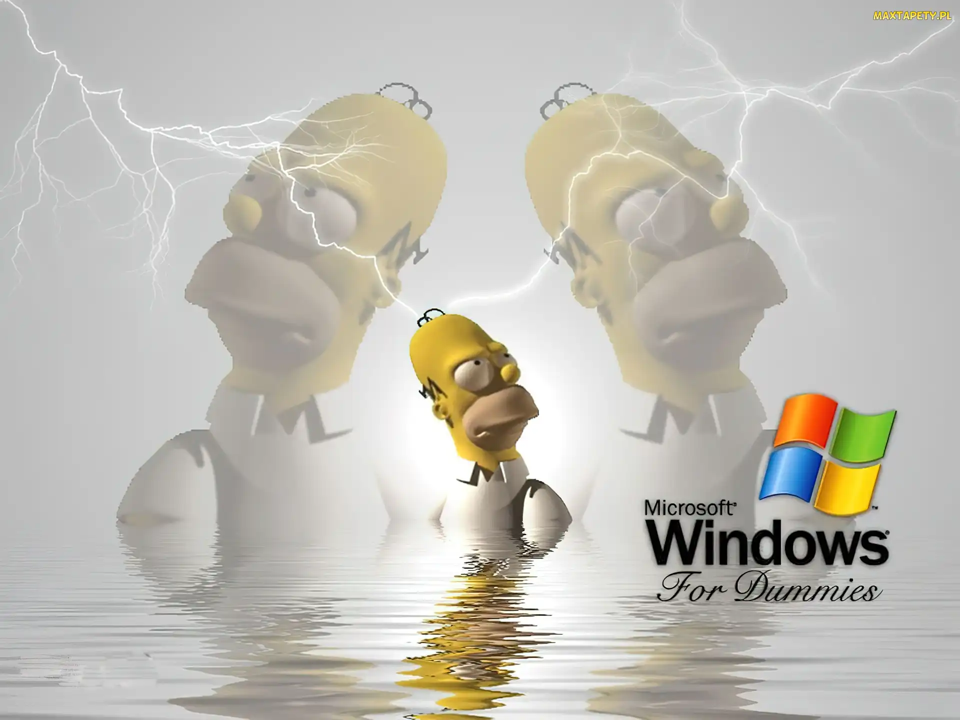 Homer, Simpson, Windows